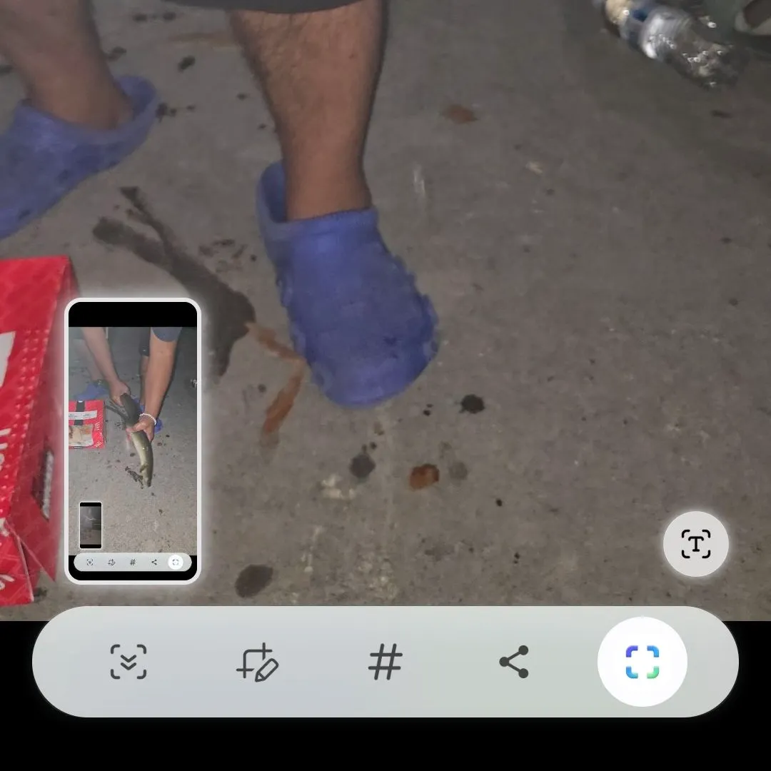 American eel caught on Fishbrain