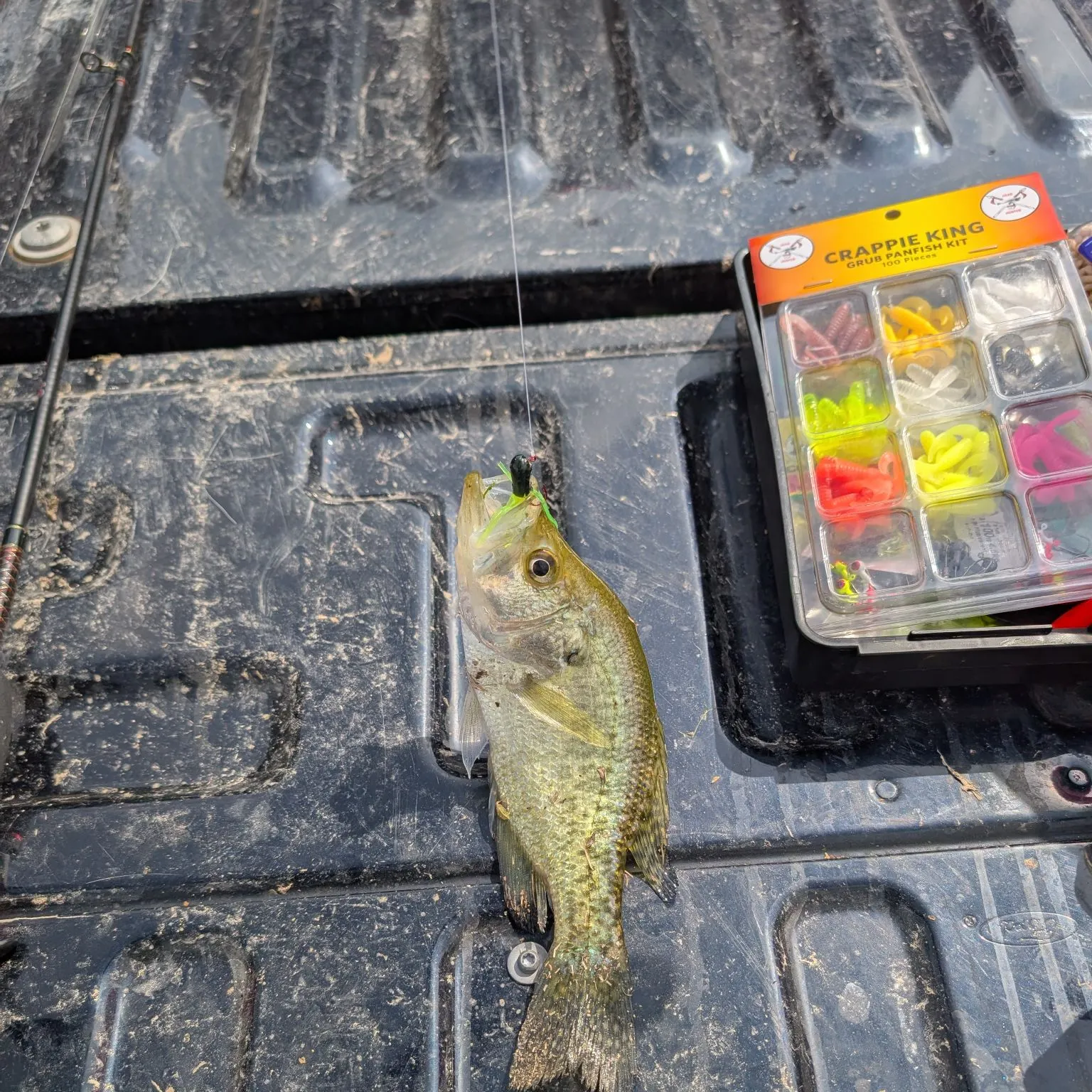 The most recent Redear sunfish catches on Fishbrain