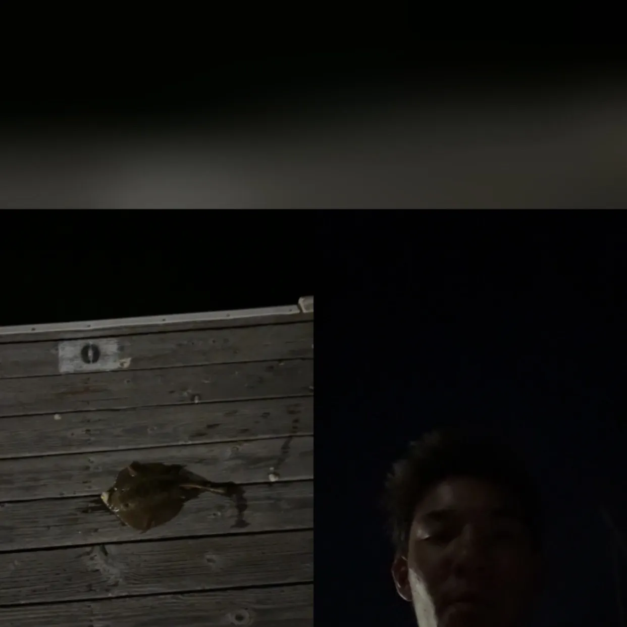 The most recent Southern stingray catches on Fishbrain