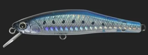 Larus Minnow