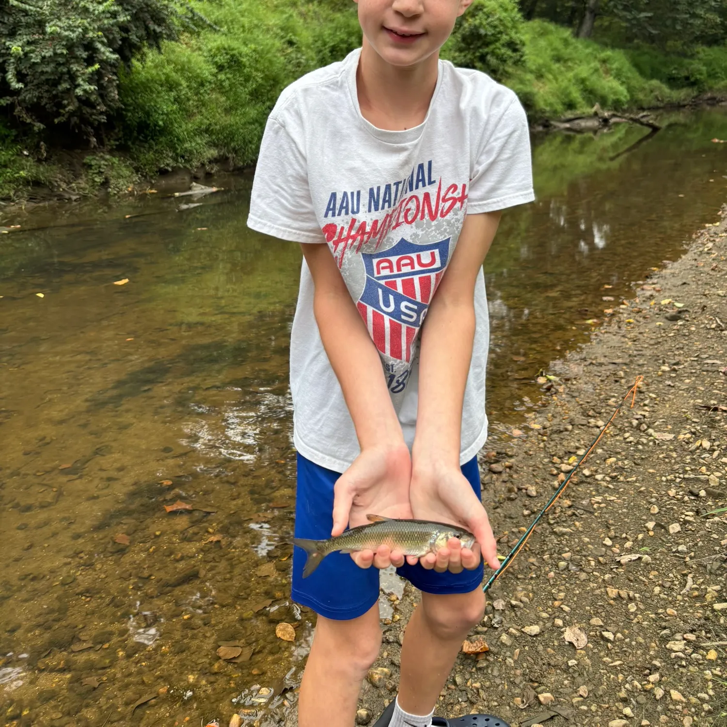 Fallfish caught on Fishbrain