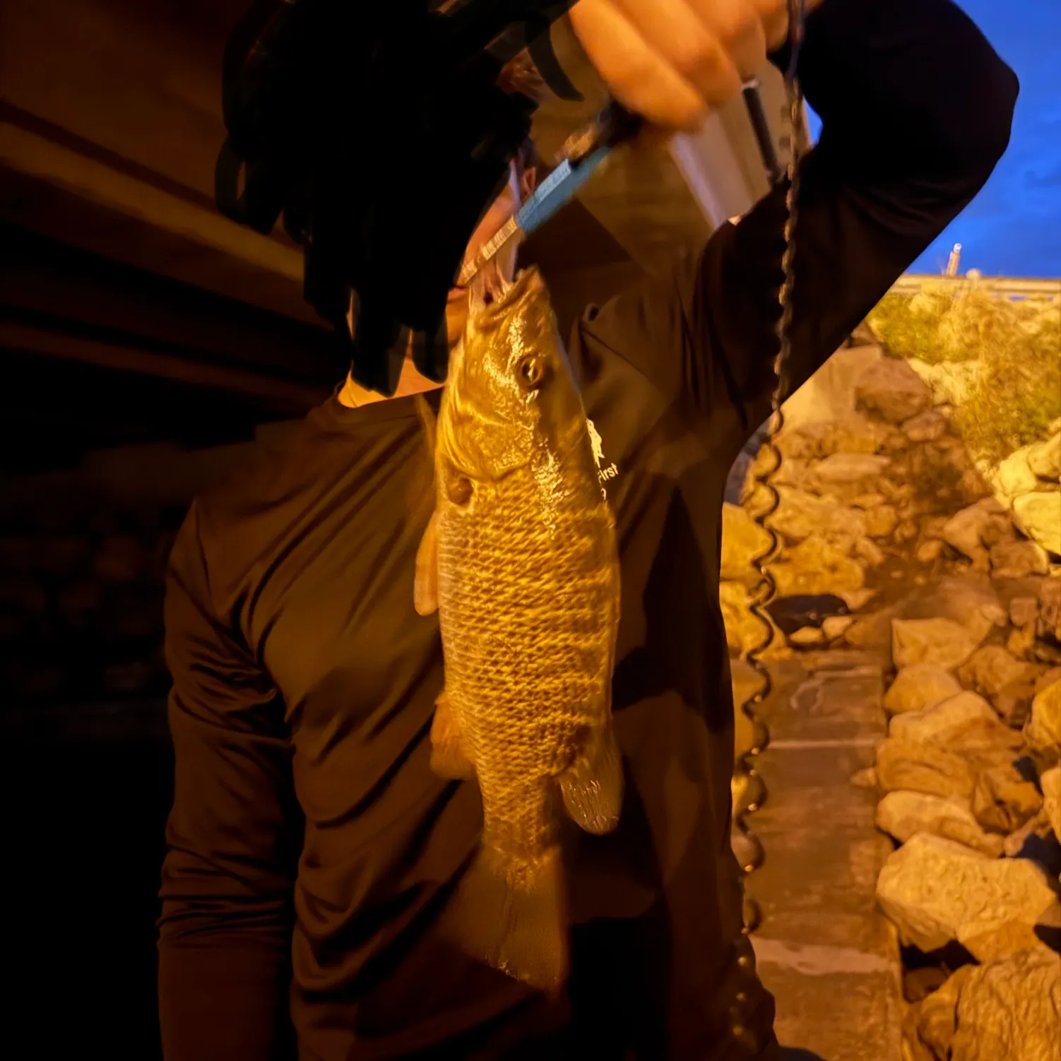 The most recent Mangrove snapper catches on Fishbrain