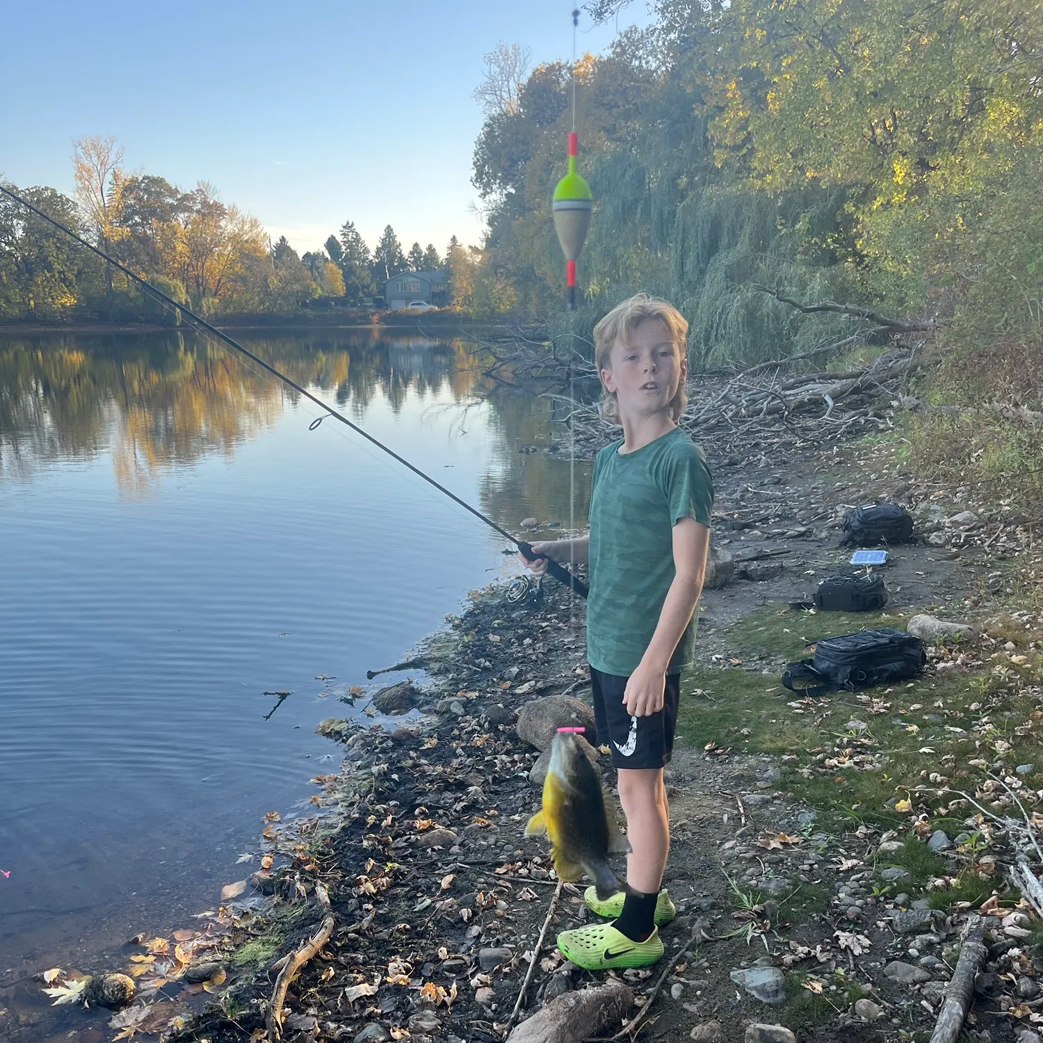 Green sunfish caught on Fishbrain