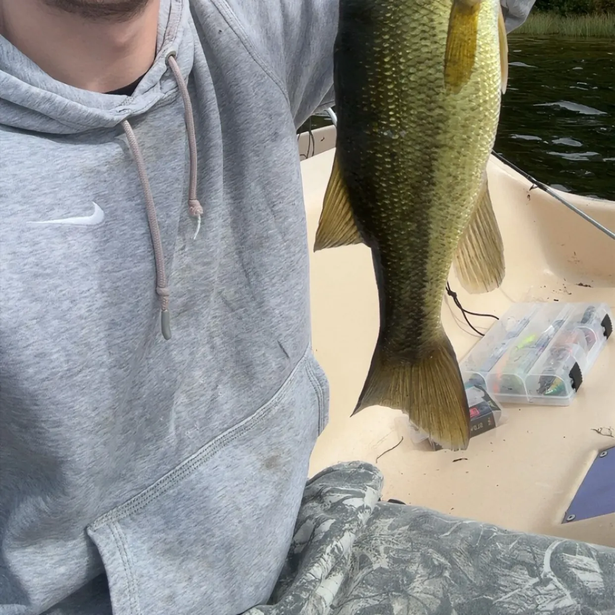 Smallmouth bass caught on Fishbrain