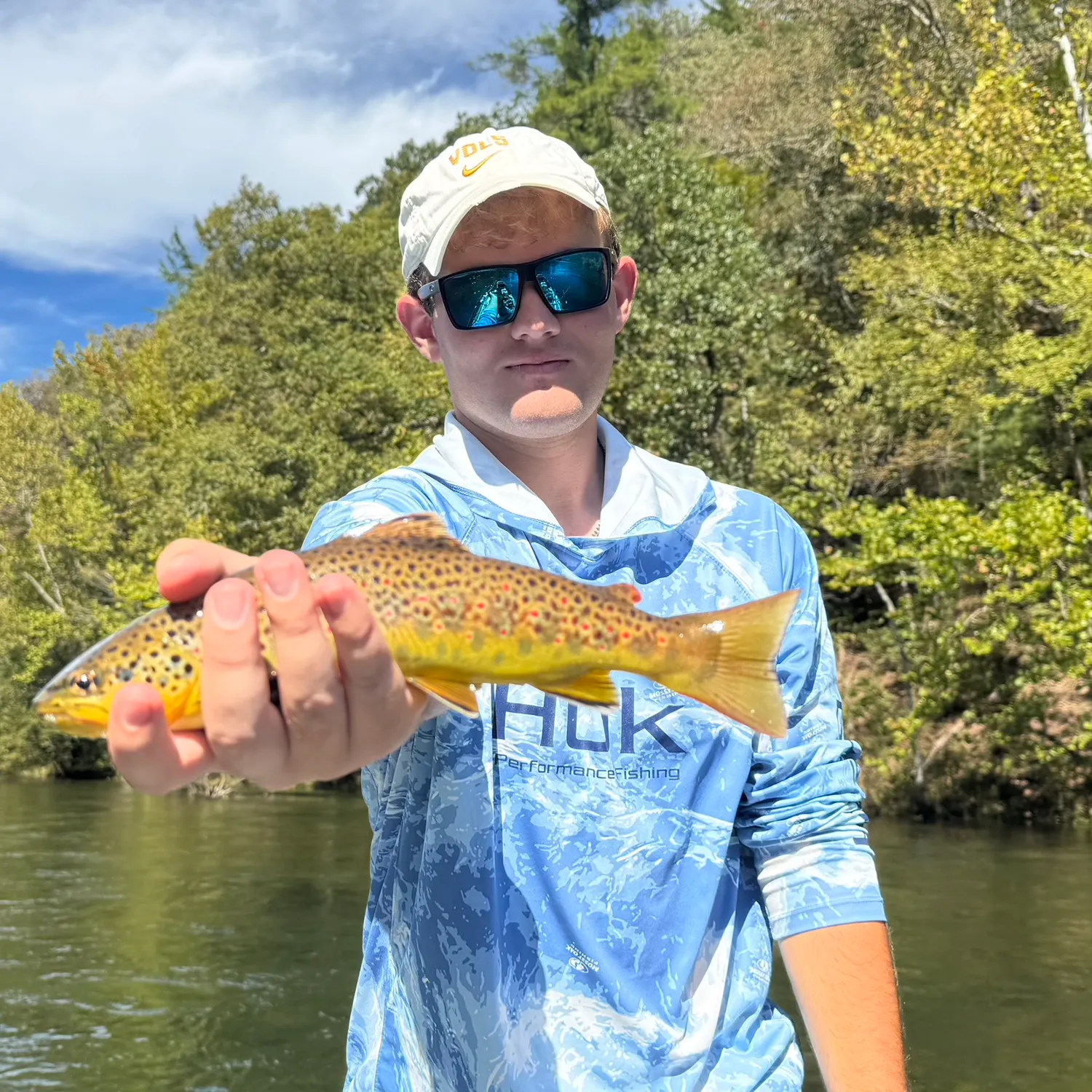Brown trout caught on Fishbrain