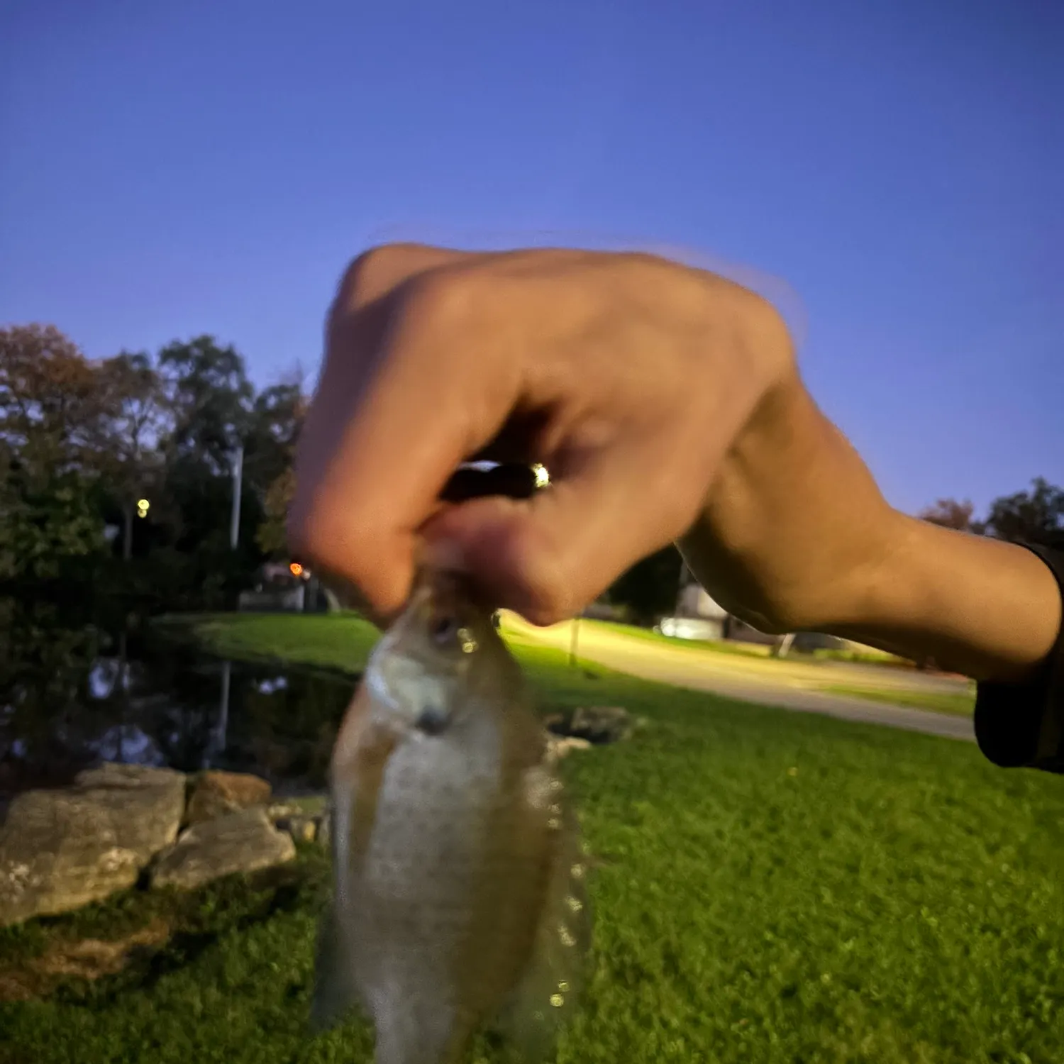catch