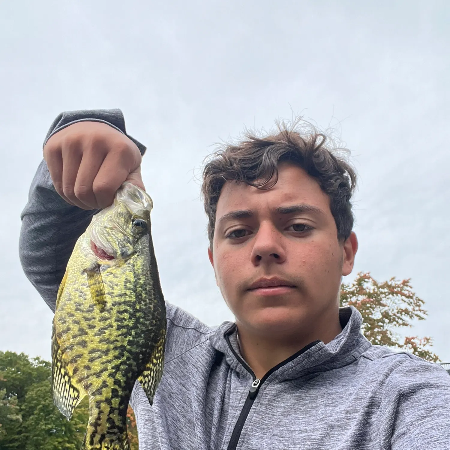 Black crappie caught on Fishbrain