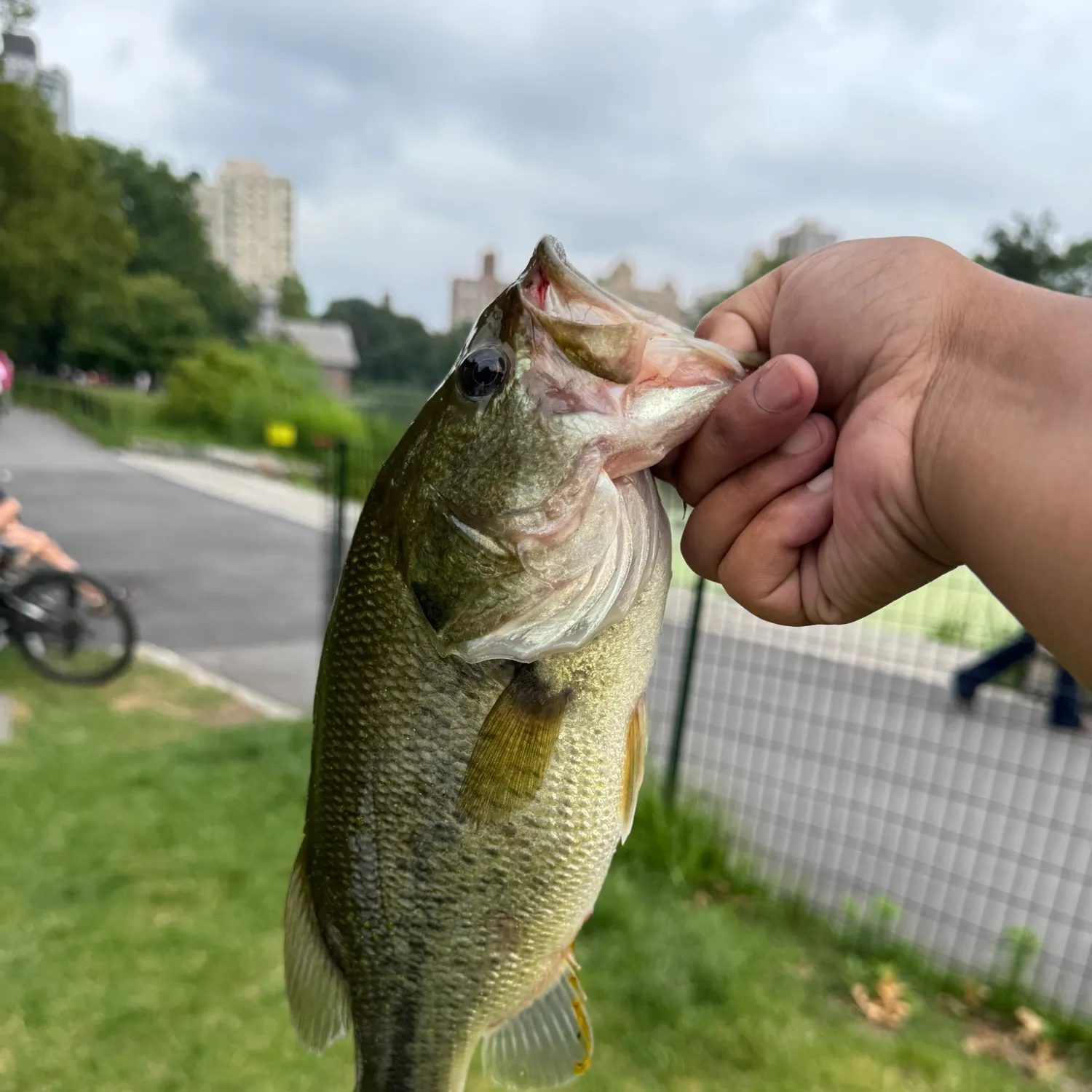 catch