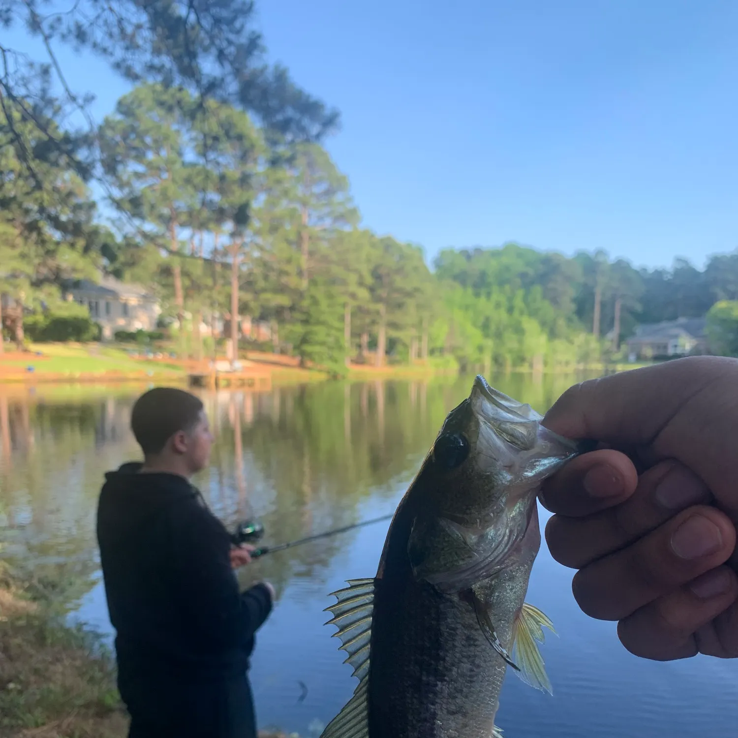 catch