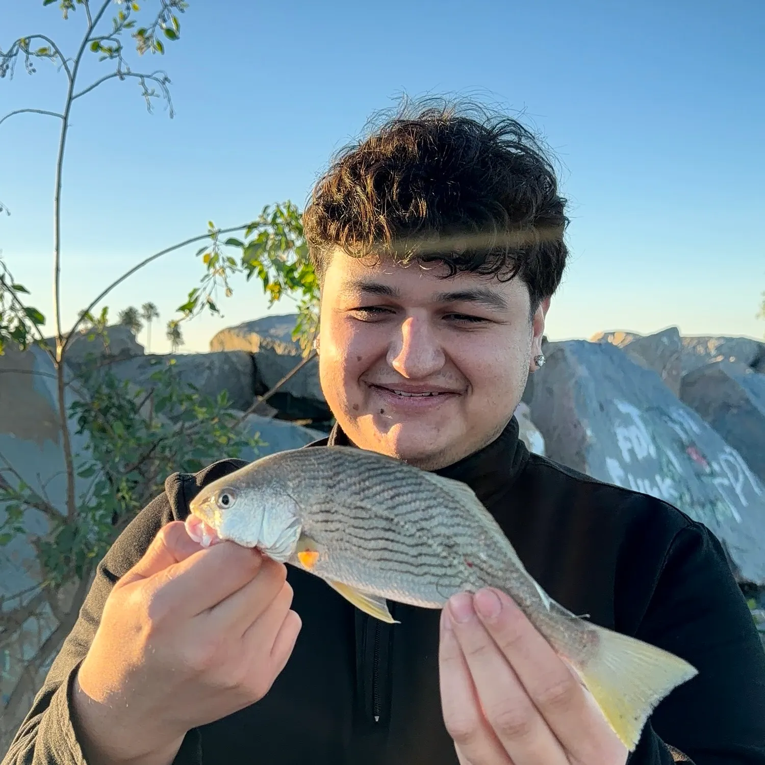 Yellowfin croaker caught on Fishbrain