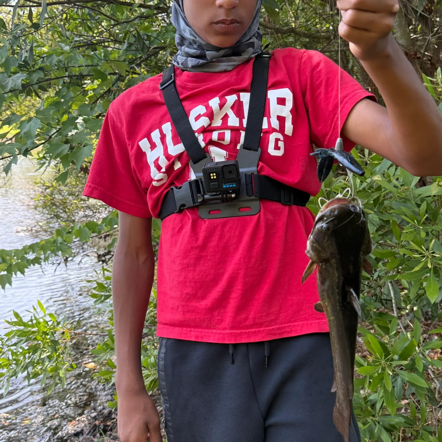 The most recent Flatwhiskered catfish catches on Fishbrain