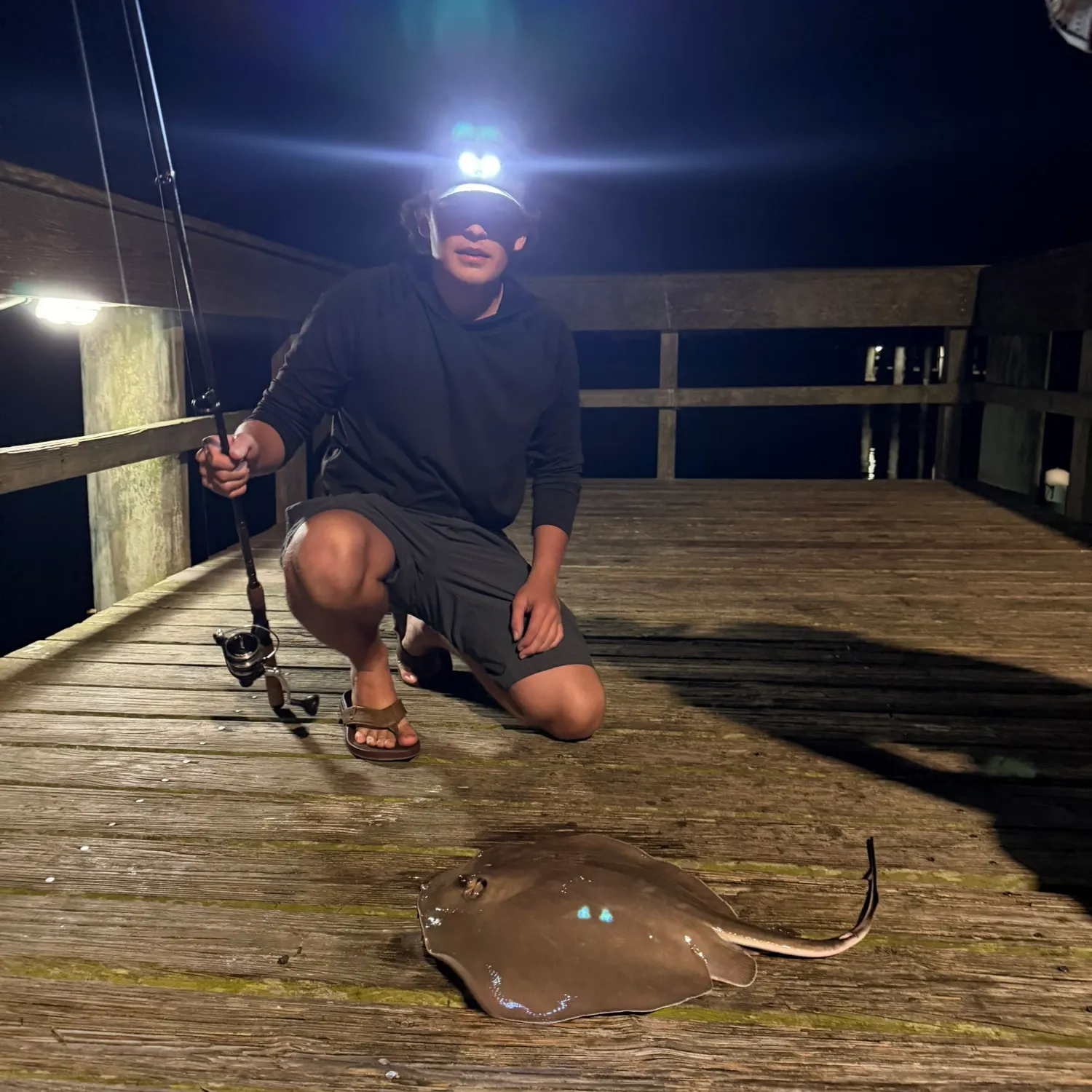 The most recent Atlantic stingray catches on Fishbrain