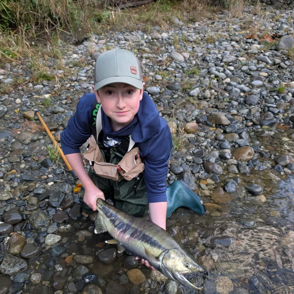 The most recent Chum salmon catches on Fishbrain