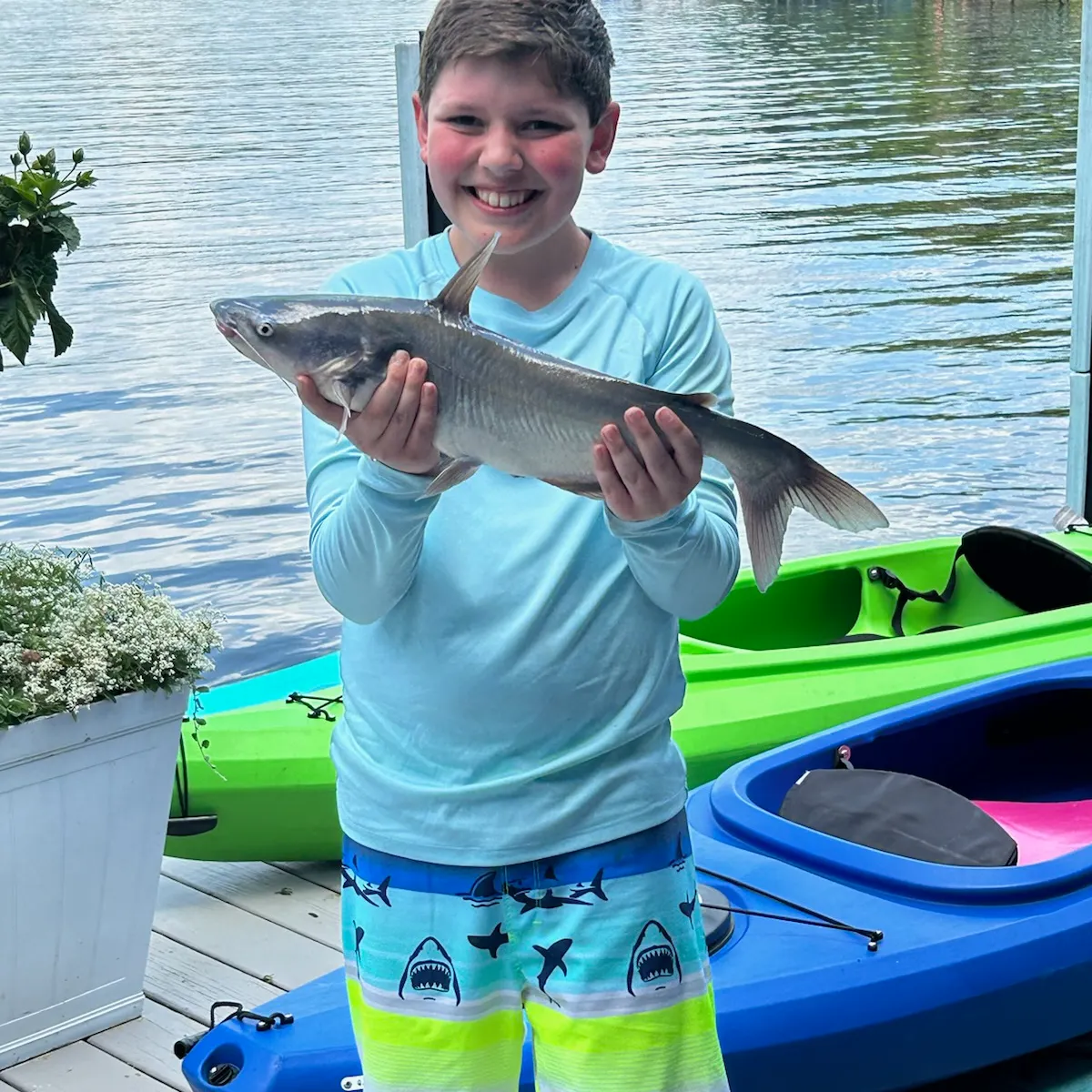 recently logged catches