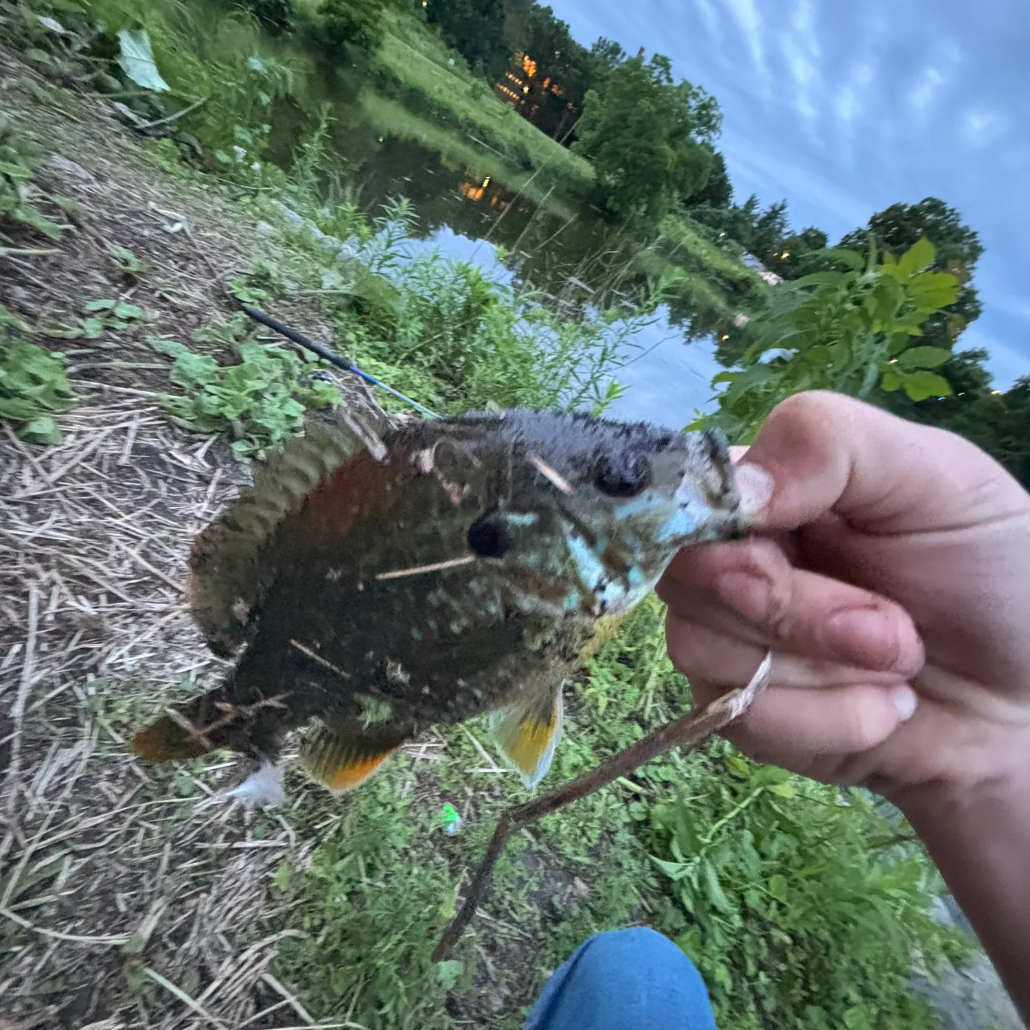 catch
