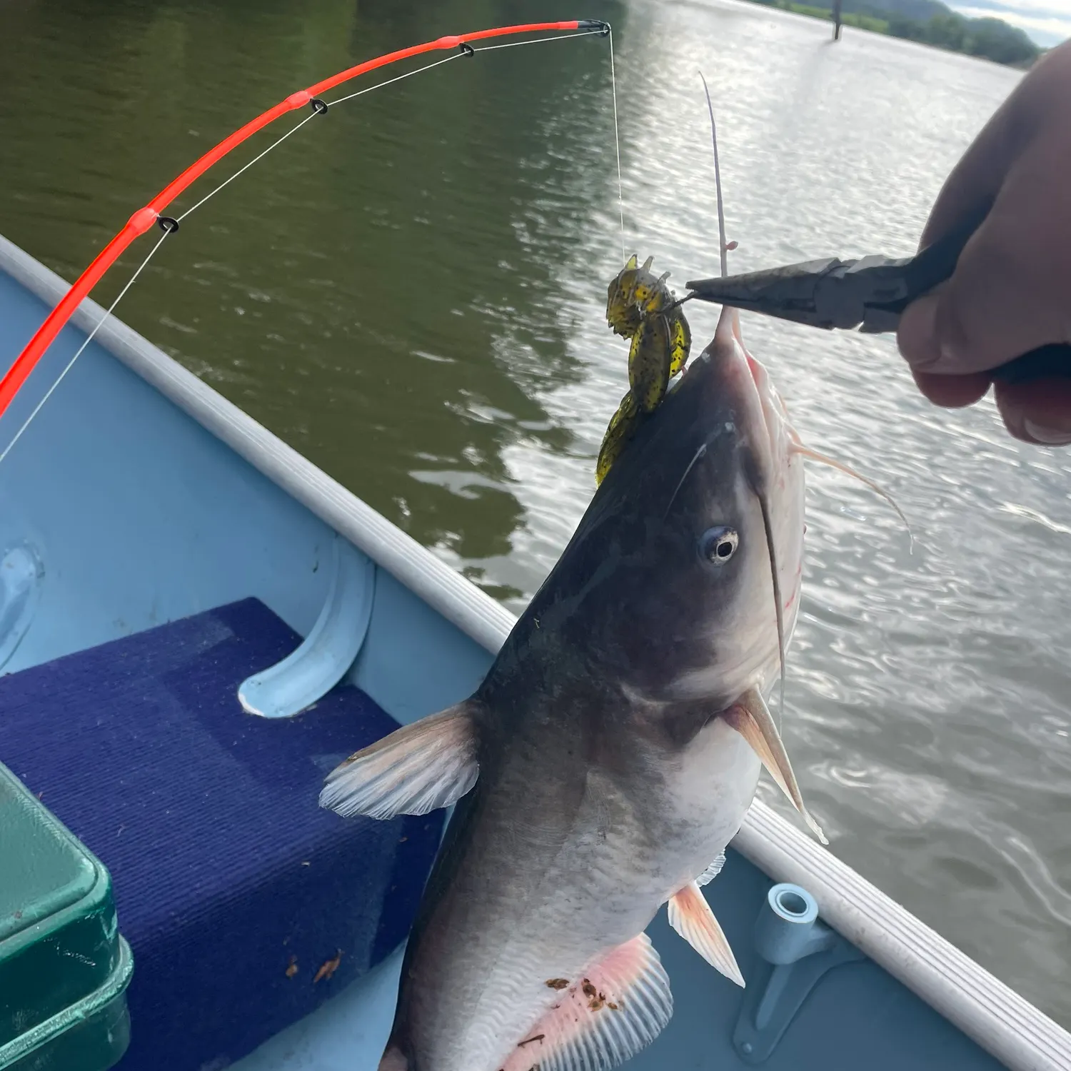 catch