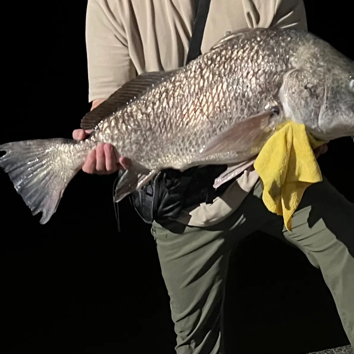 Black drum caught on Fishbrain