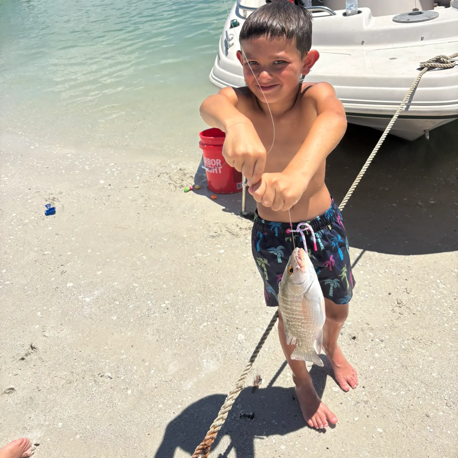 Fish caught on Fishbrain