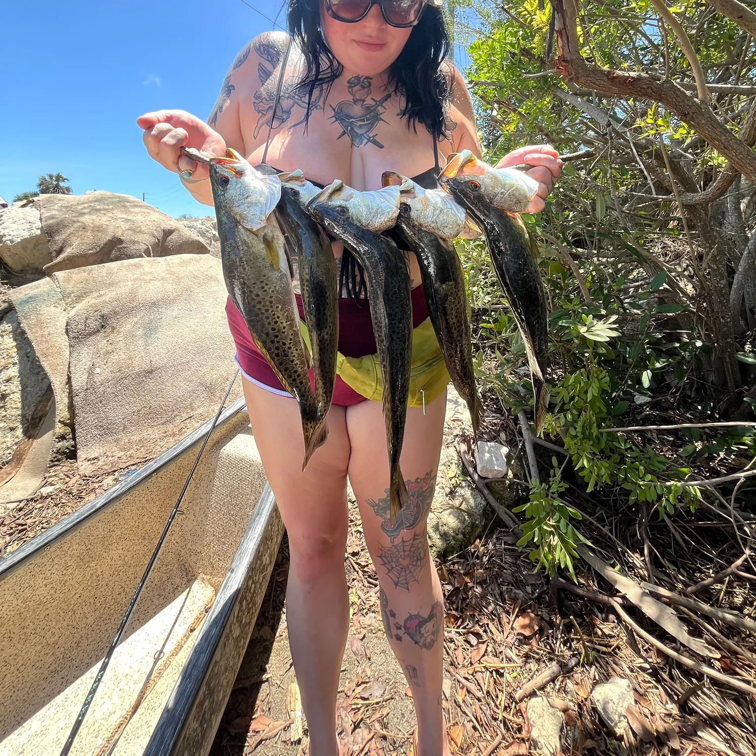 recently logged catches