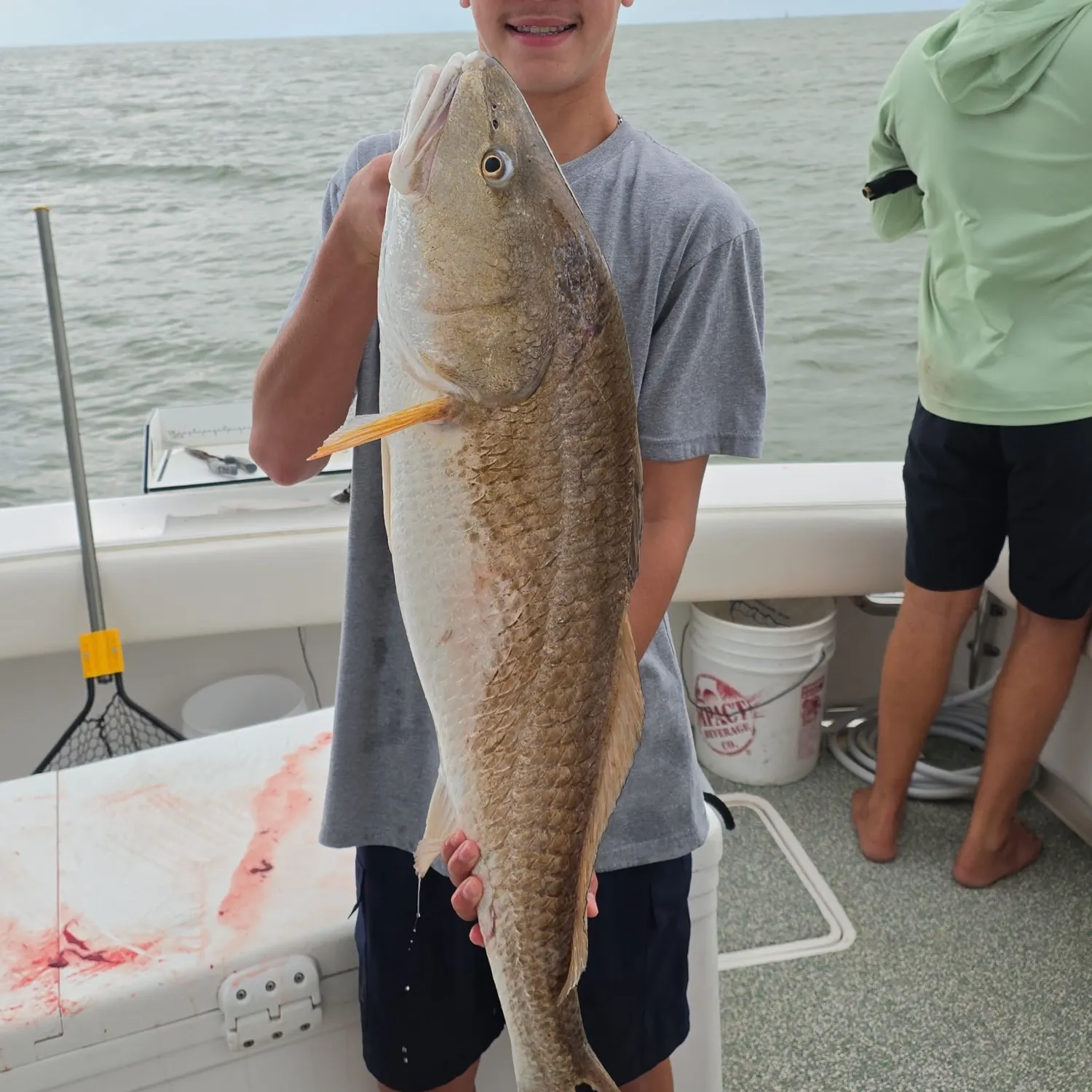 Red drum caught on Fishbrain