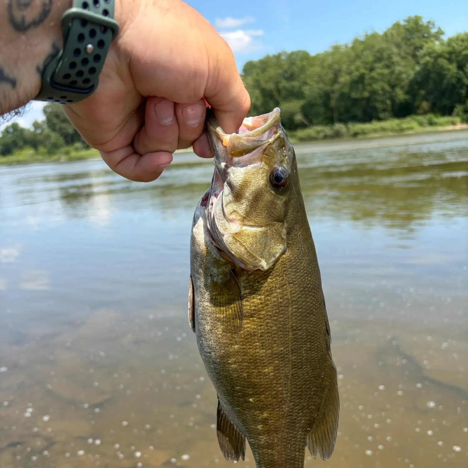 catch