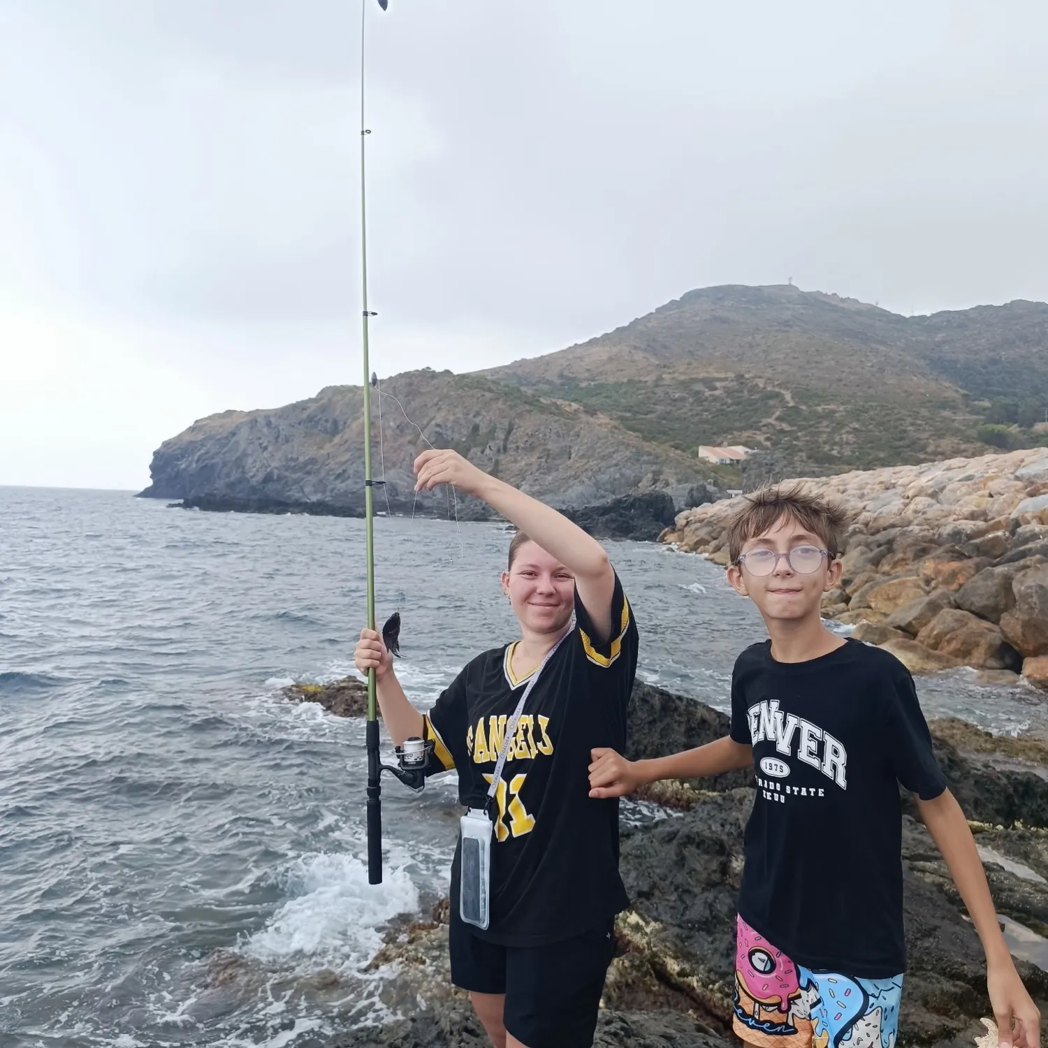 The most recent Mediterranean chromis catches on Fishbrain