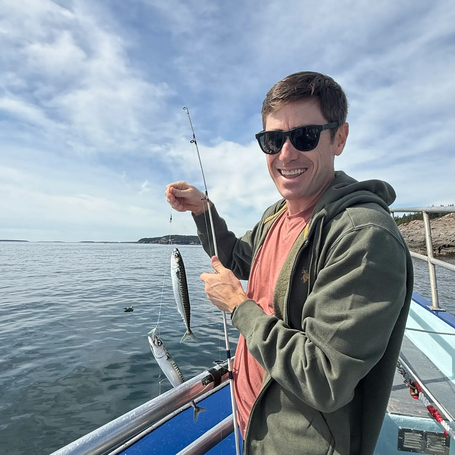 Atlantic mackerel caught on Fishbrain