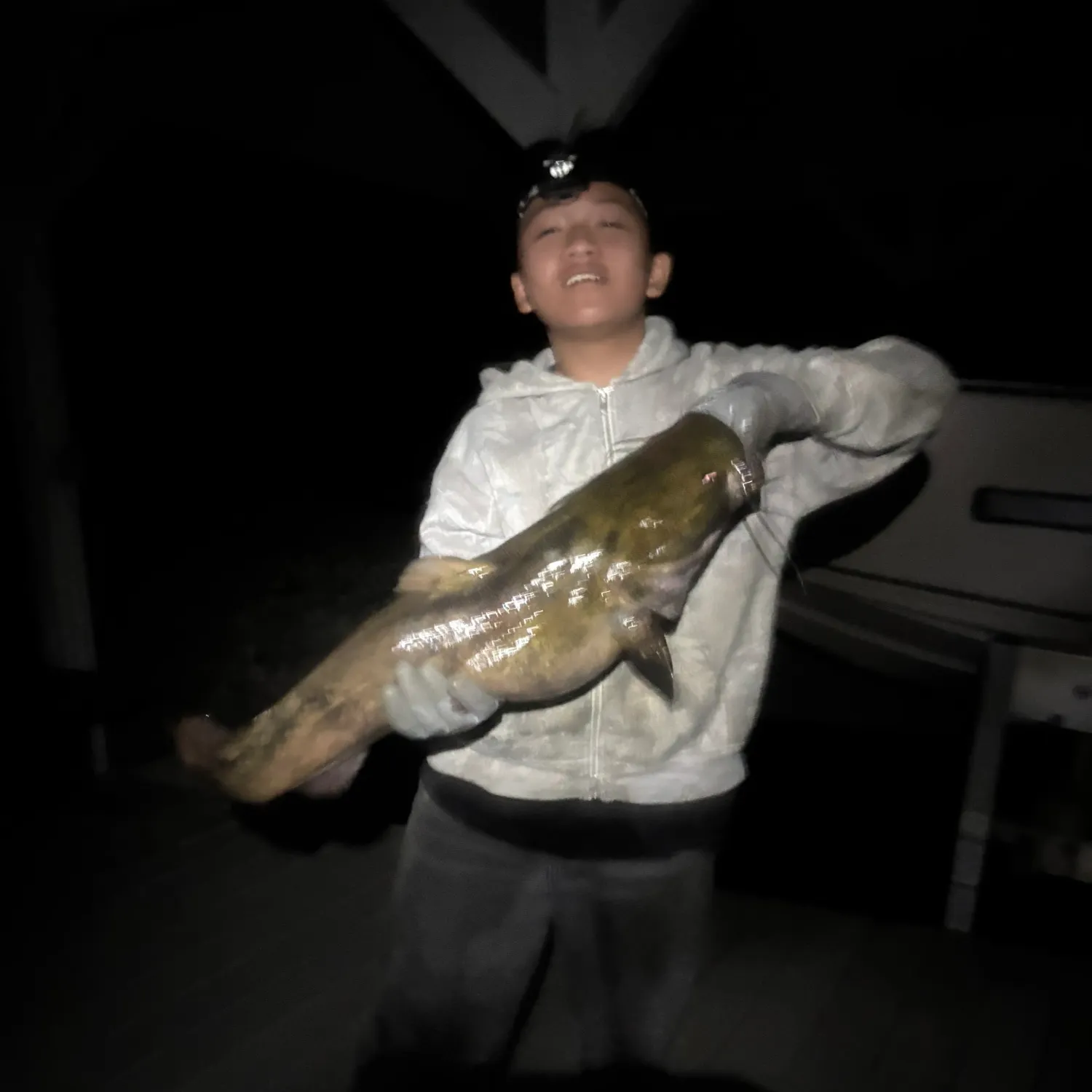 Flathead catfish caught on Fishbrain