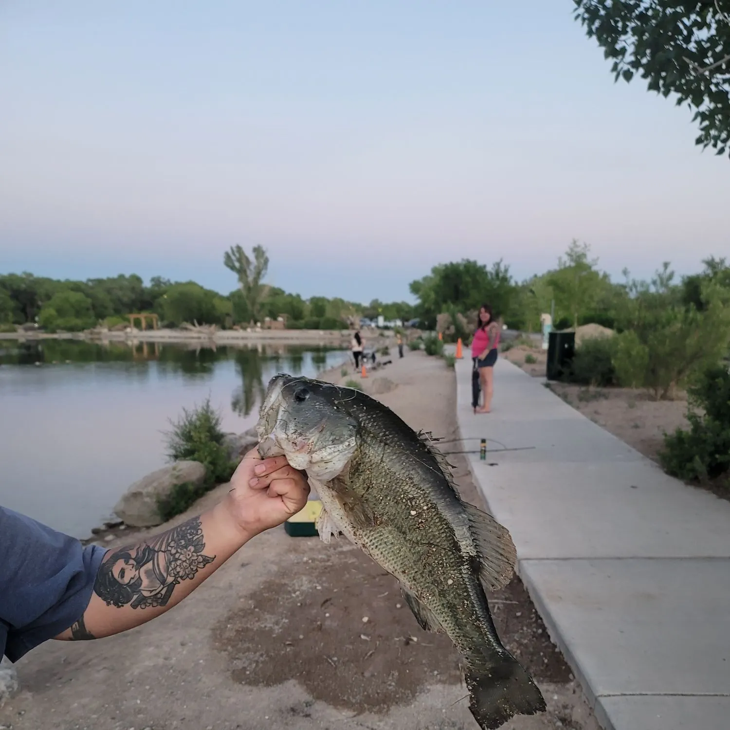 catch