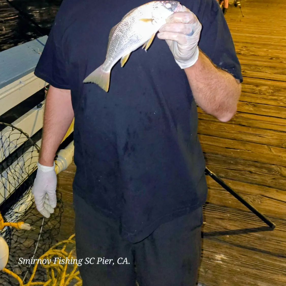 Yellowfin croaker caught on Fishbrain