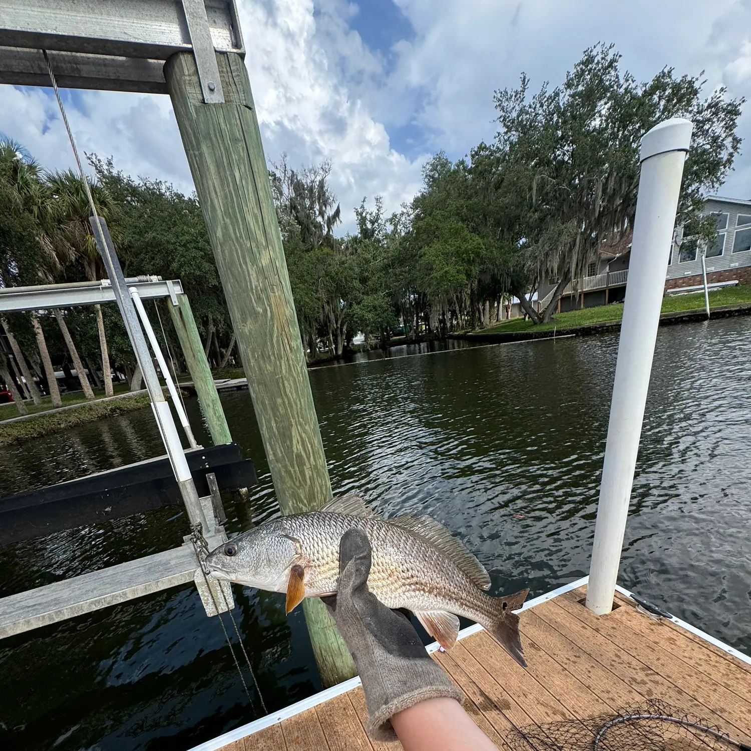 catch