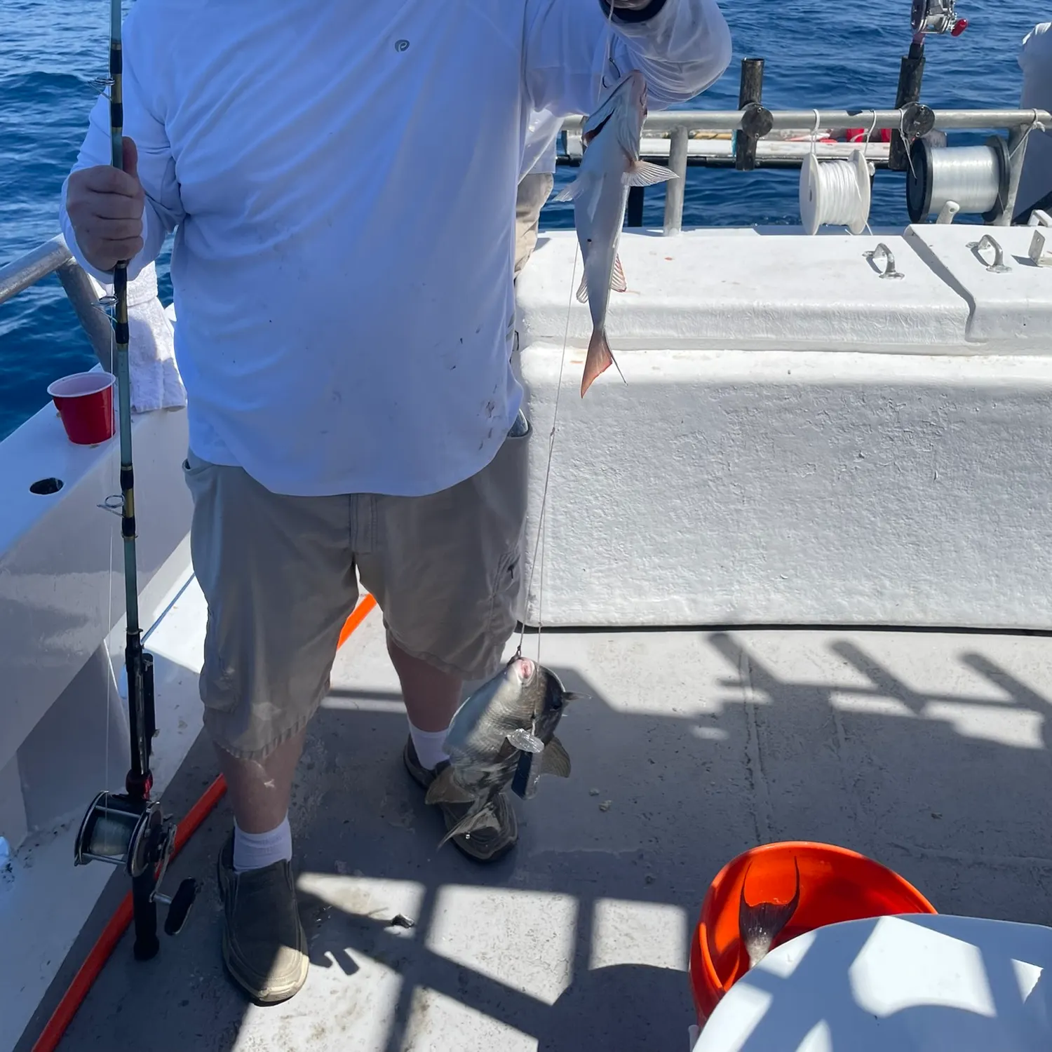 The most recent Vermilion snapper catches on Fishbrain