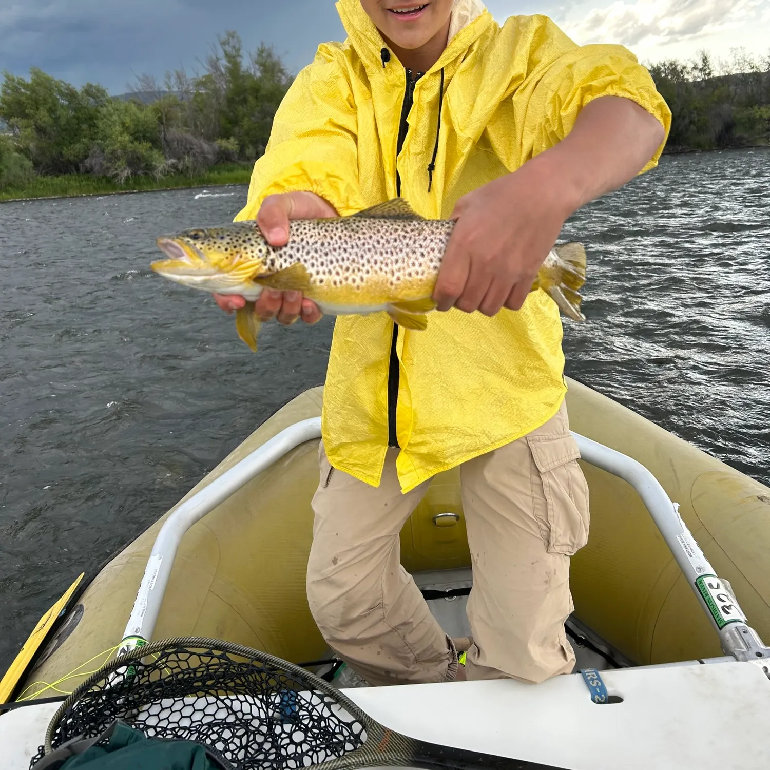 The most recent Brown trout catches on Fishbrain