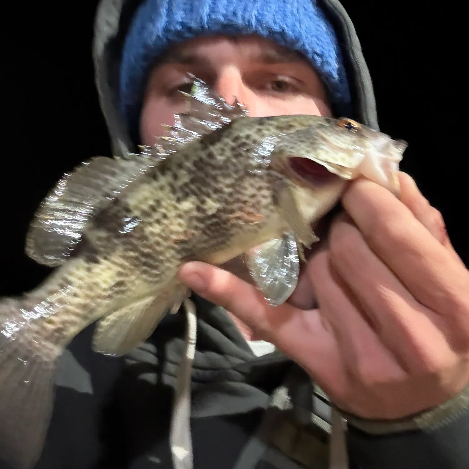 most liked catch image