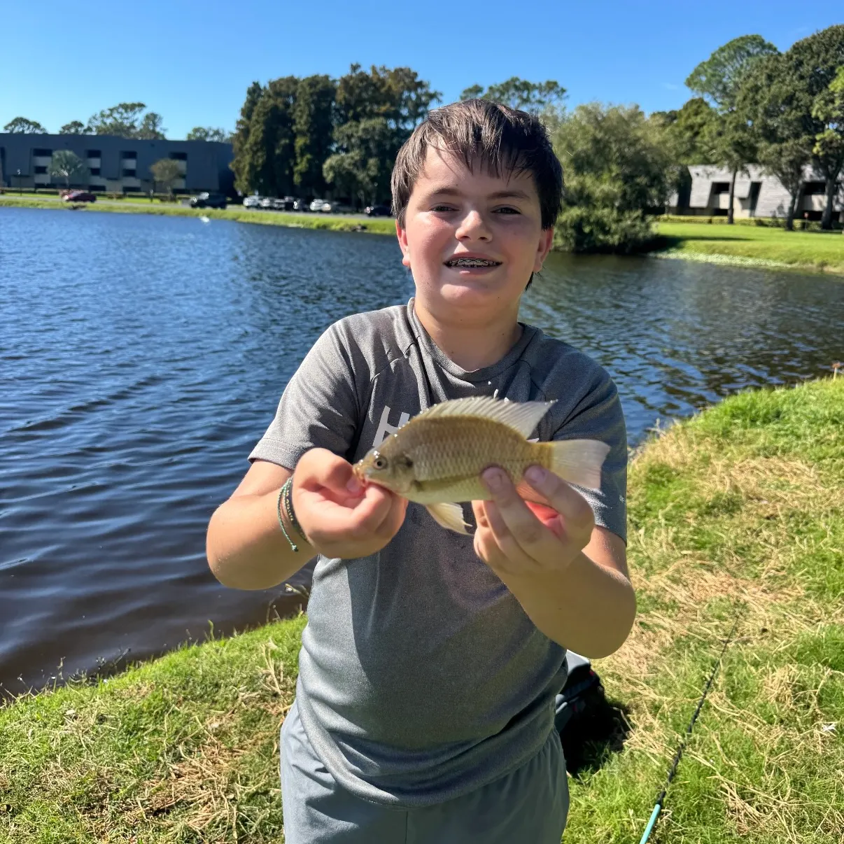 The most recent Blackchin tilapia catches on Fishbrain