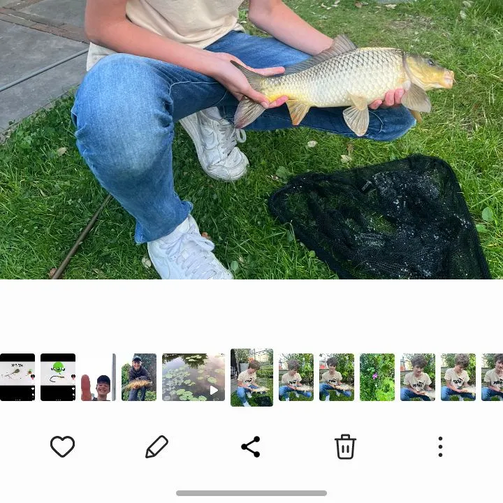 recently logged catches