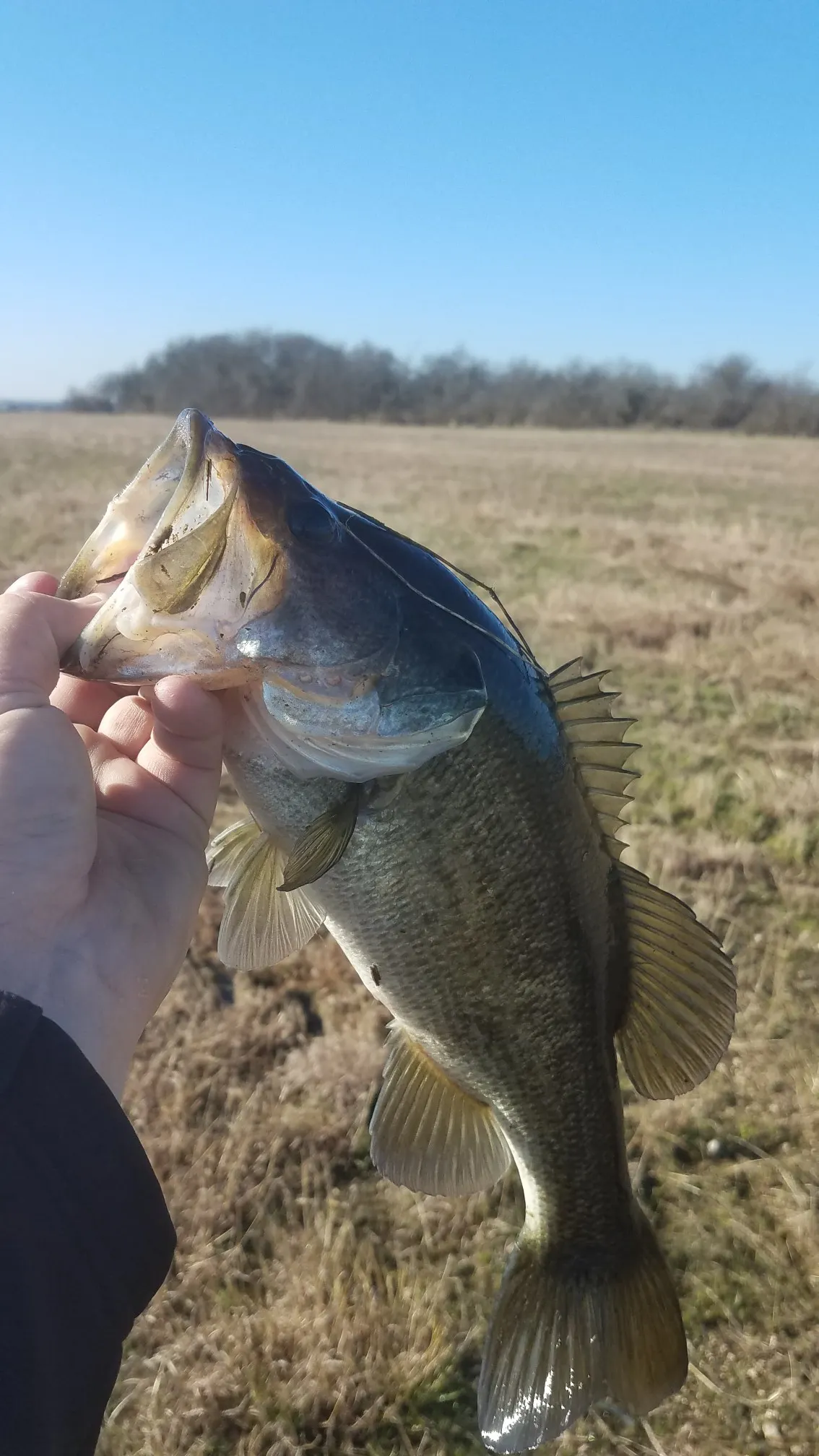 Post image from agraham5897