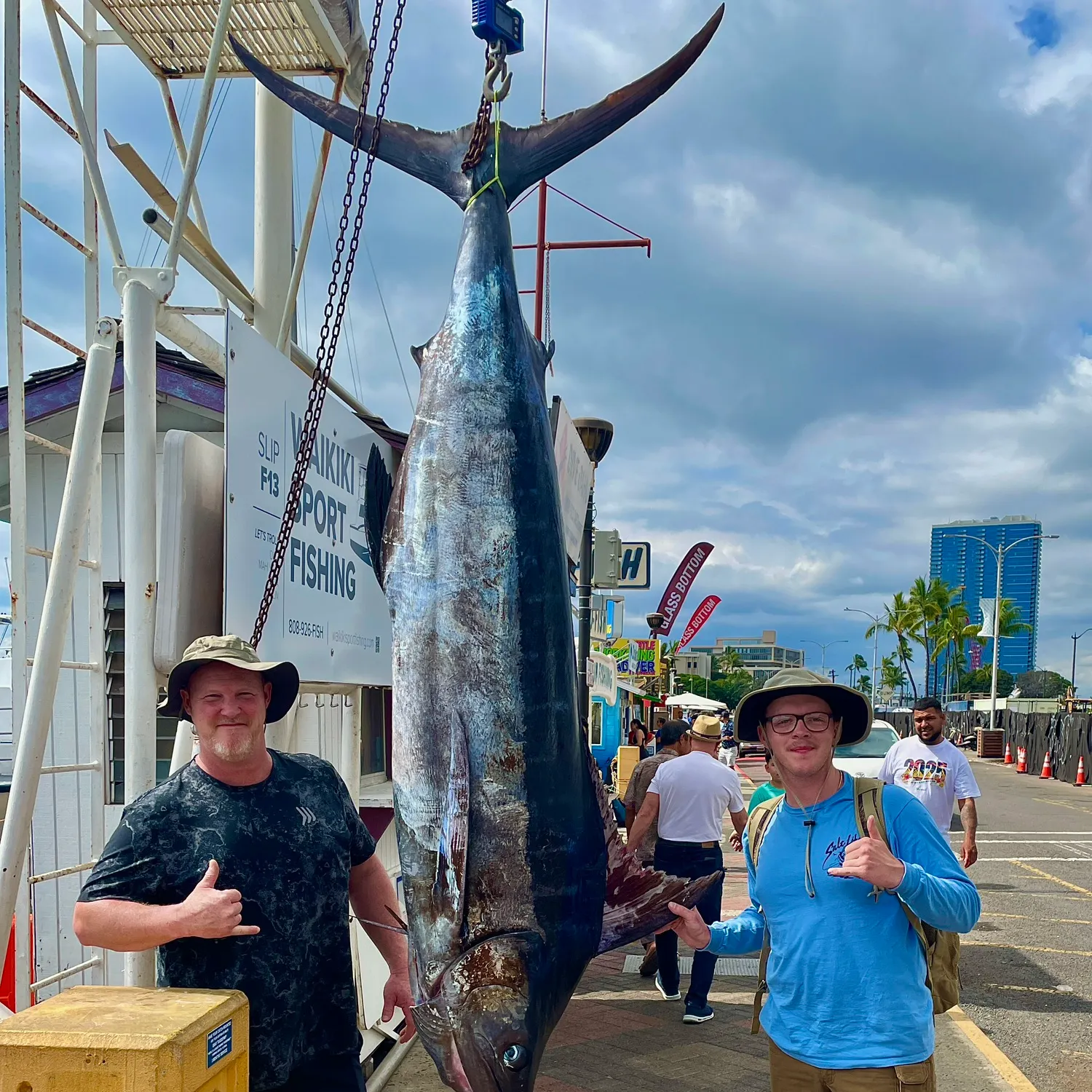 The most recent Atlantic blue marlin catches on Fishbrain