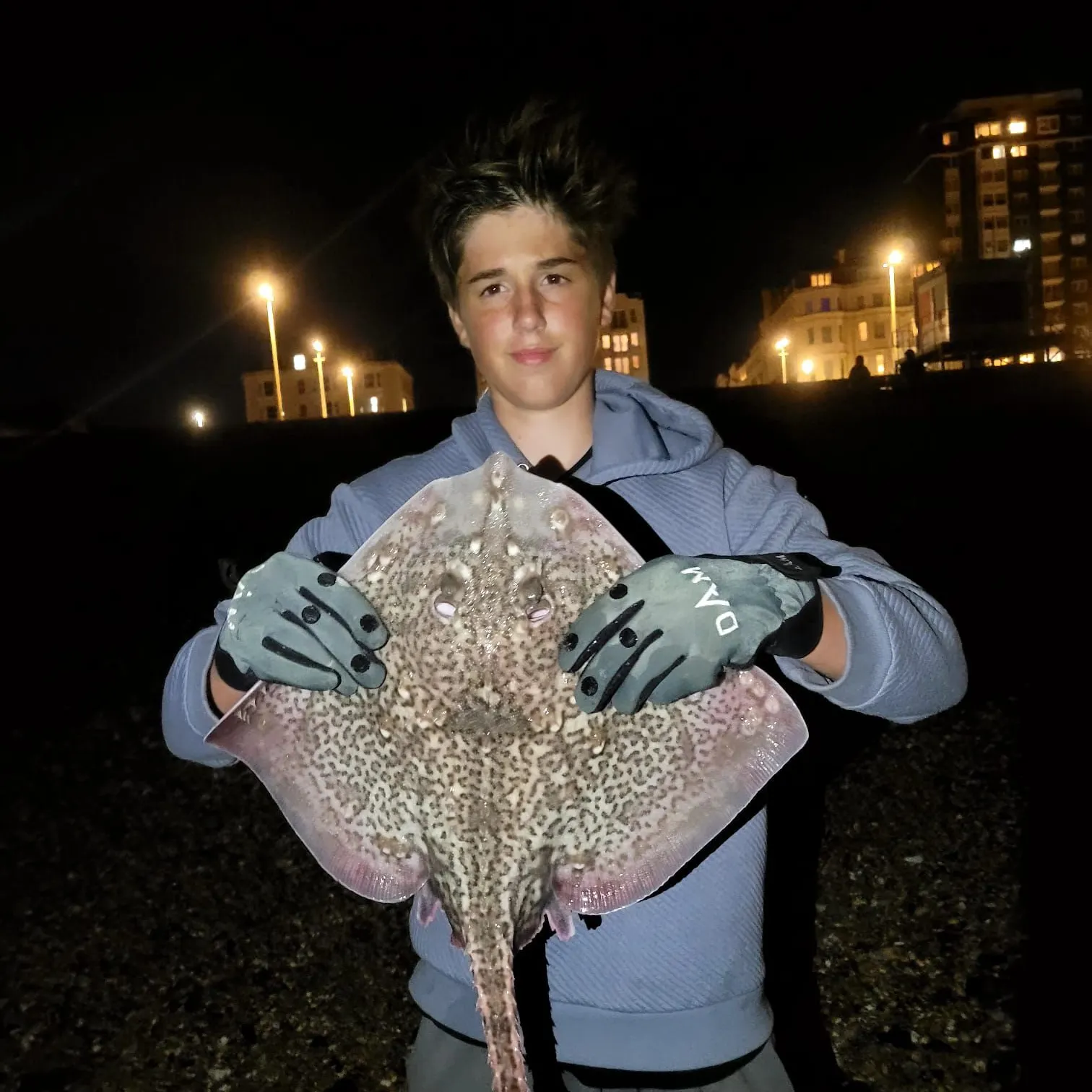 The most recent Thornback ray catches on Fishbrain