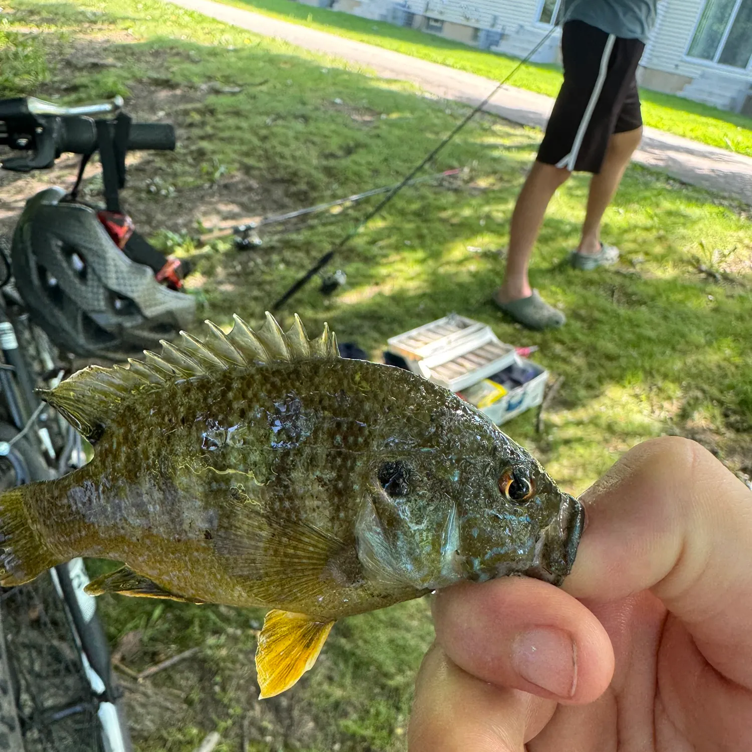 catch