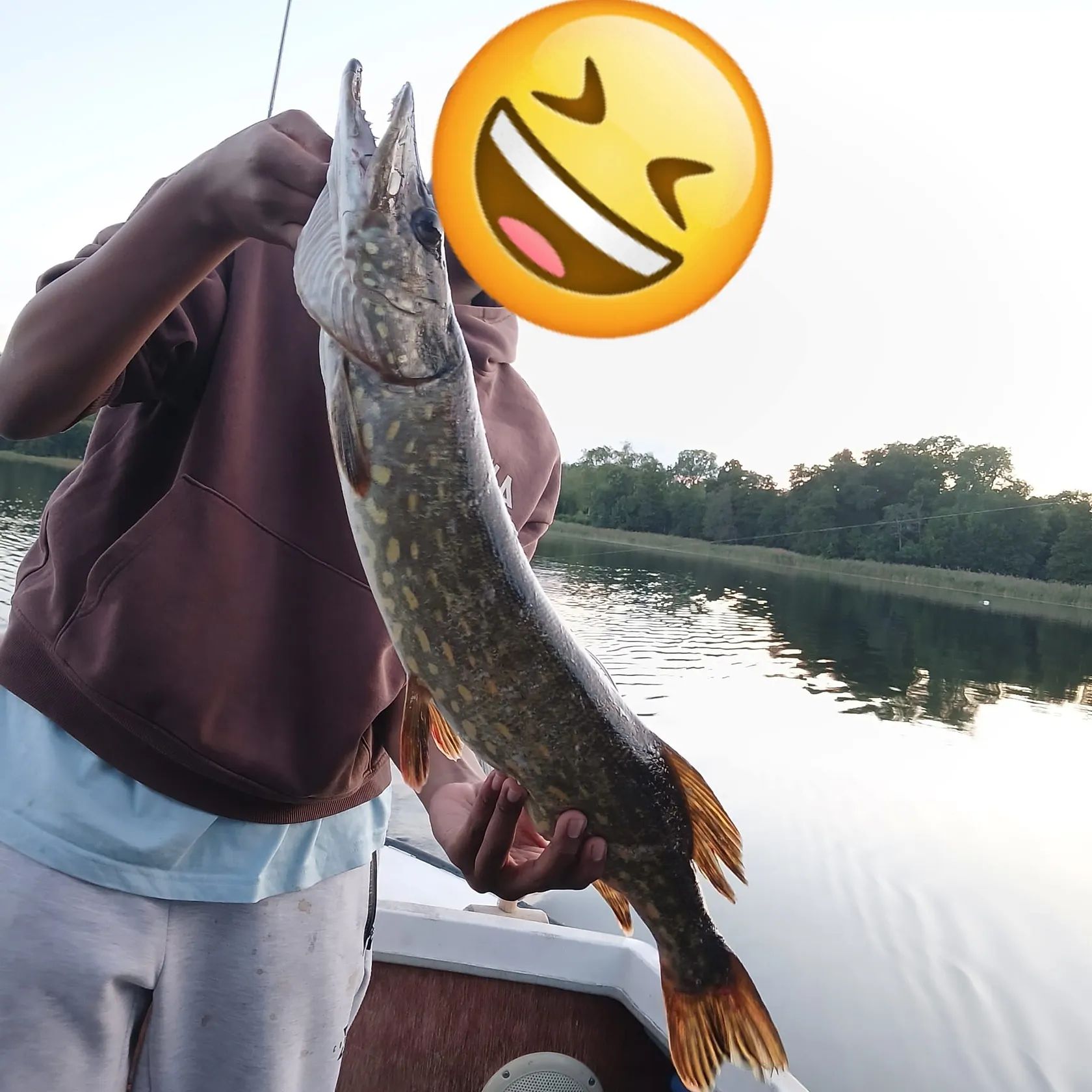 Northern pike caught on Fishbrain