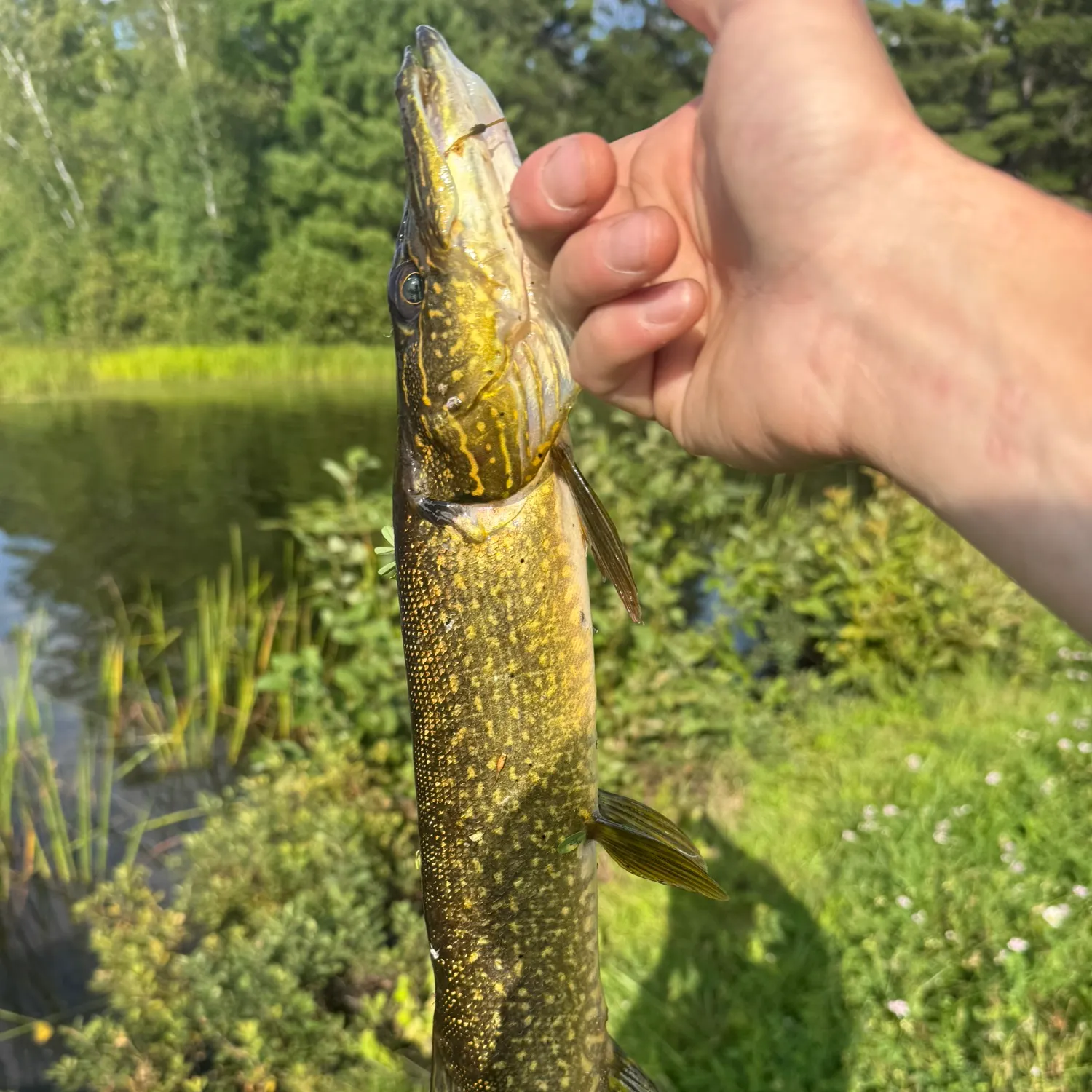 catch
