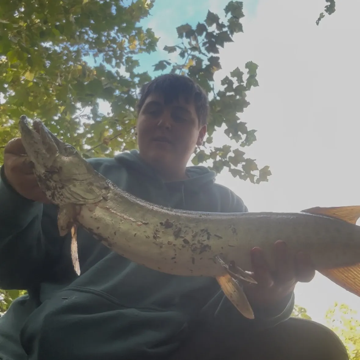 Muskie caught on Fishbrain