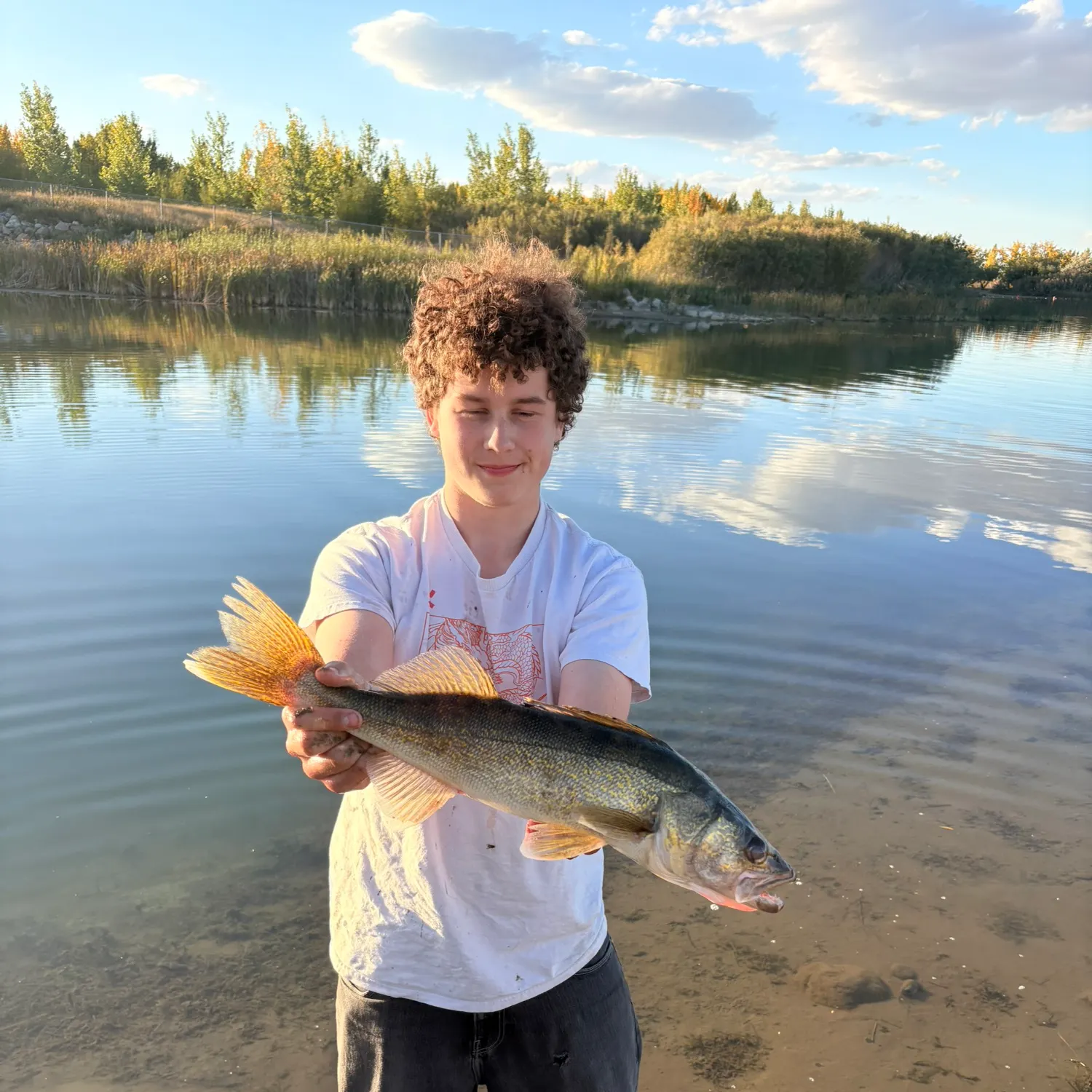 Walleye caught on Fishbrain