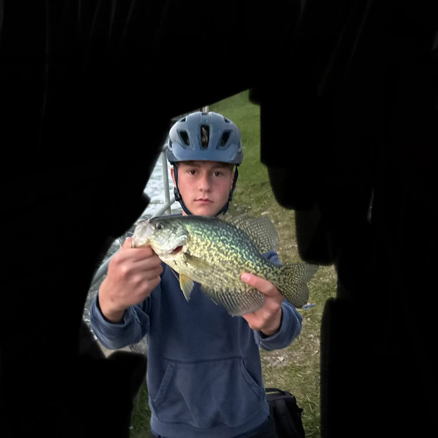 Black crappie caught on Fishbrain