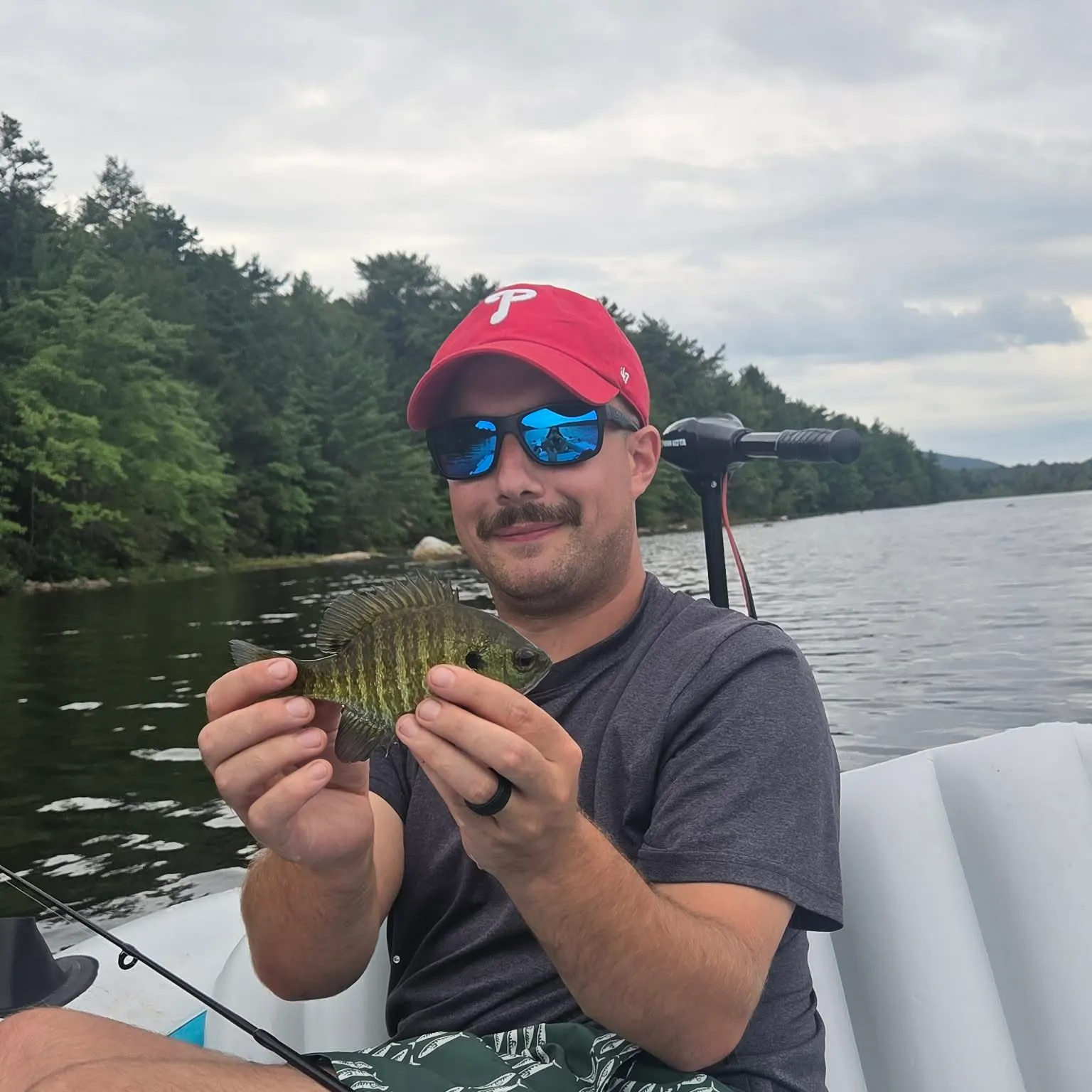 Bluegill caught on Fishbrain