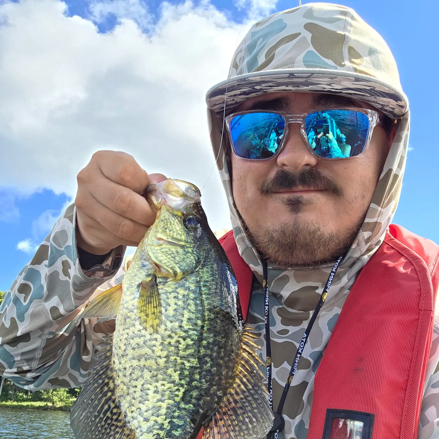 Black crappie caught on Fishbrain
