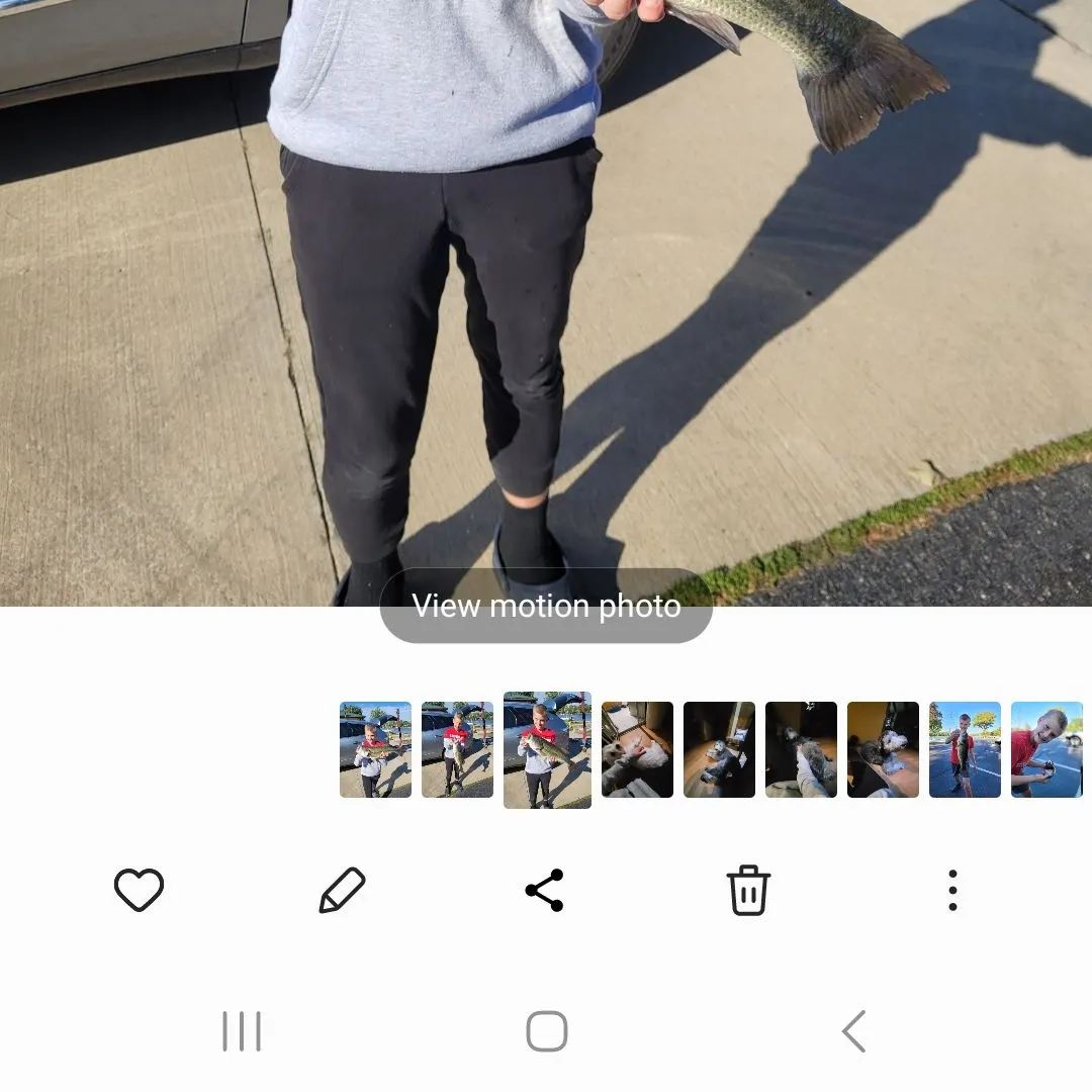 recently logged catches