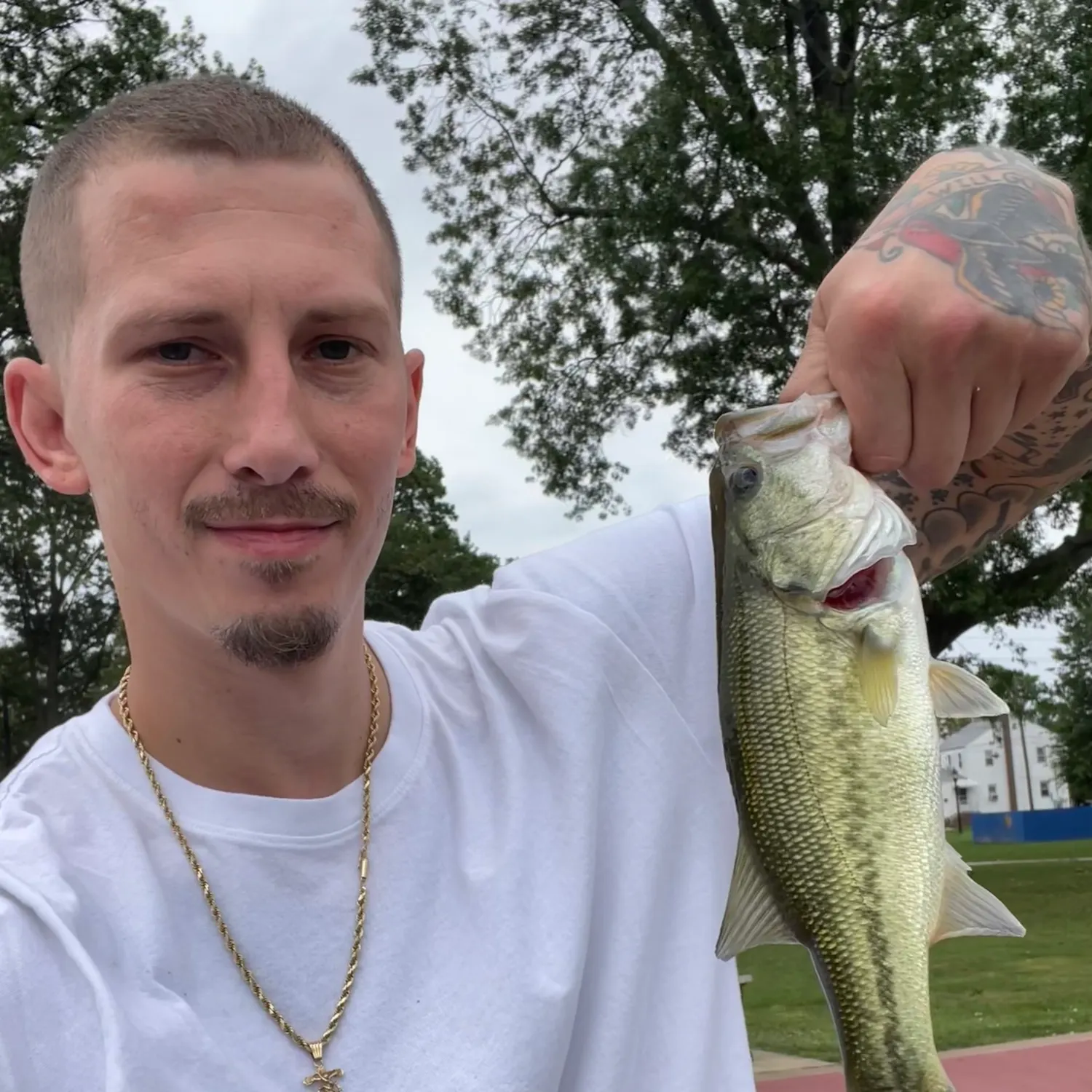 Largemouth bass caught on Fishbrain