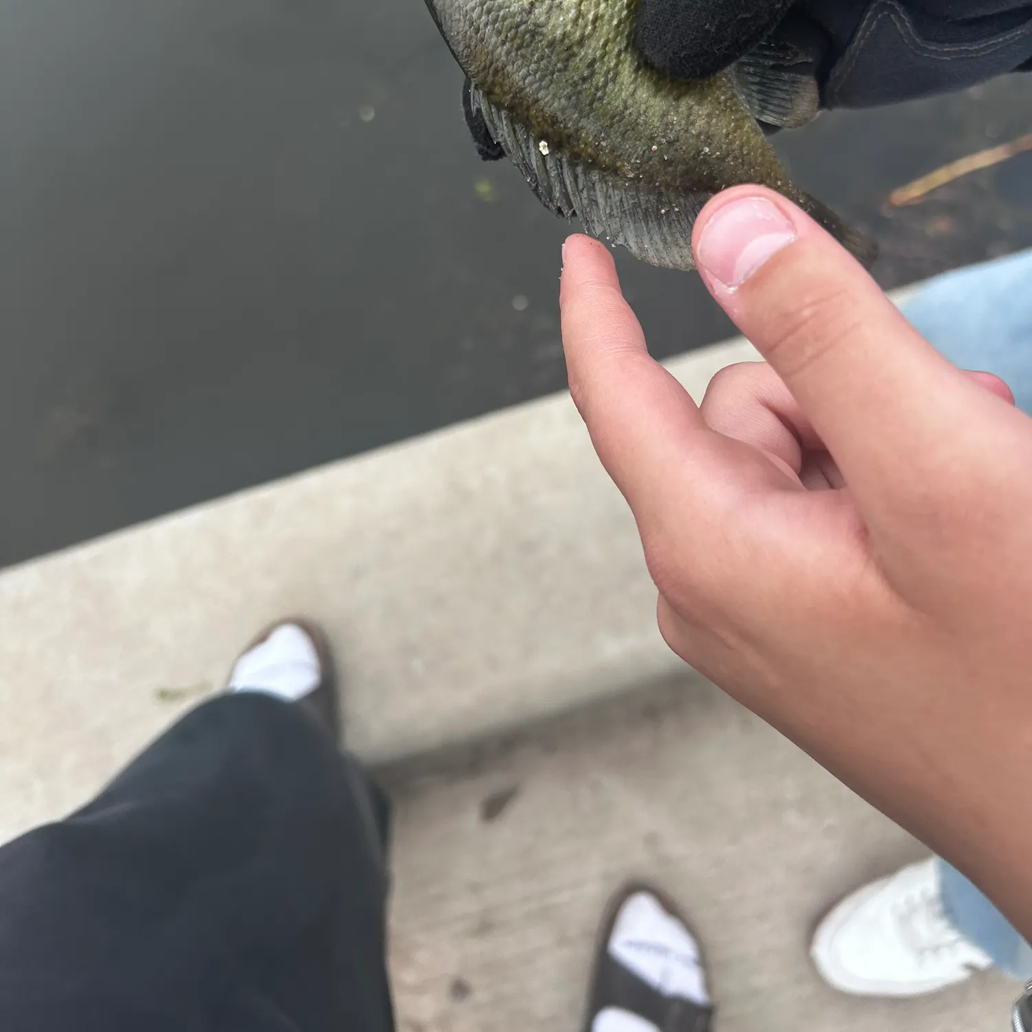 catch